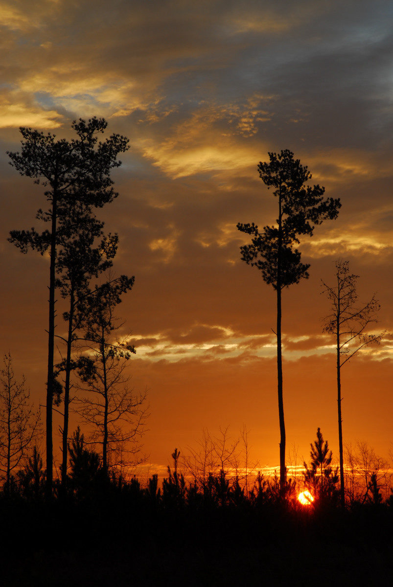 Sunrise  -  Greenville County, South Carolina