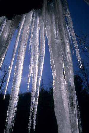 Icicles  -  Pisgah National Forest, North Carolina