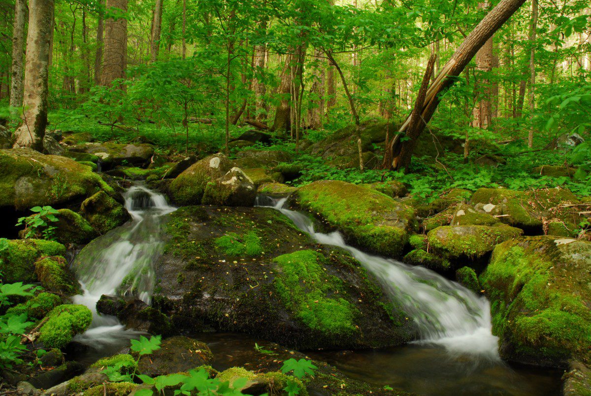 Cascades - US 441 (N of Chimneys Picnic Area) - Great Smoky Mountains NP, Tennessee