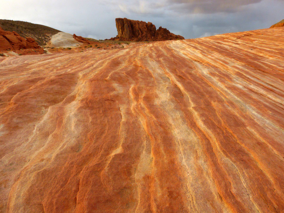 Sandstone patterns  -  Fire Wave Trail, Valley of Fire State Park, Nevada