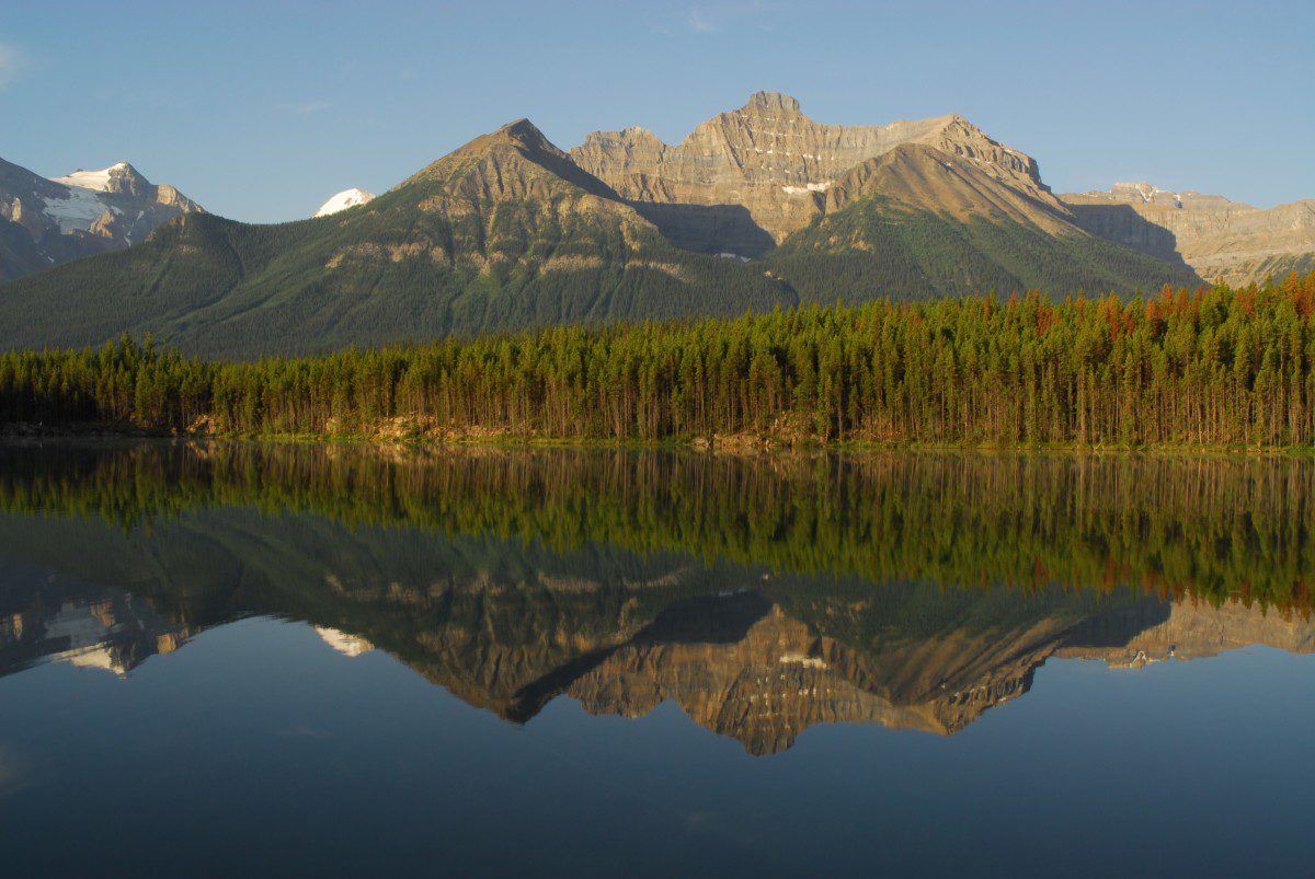 Herbert Lake early morning reflection  -  Banff National Park, Alberta