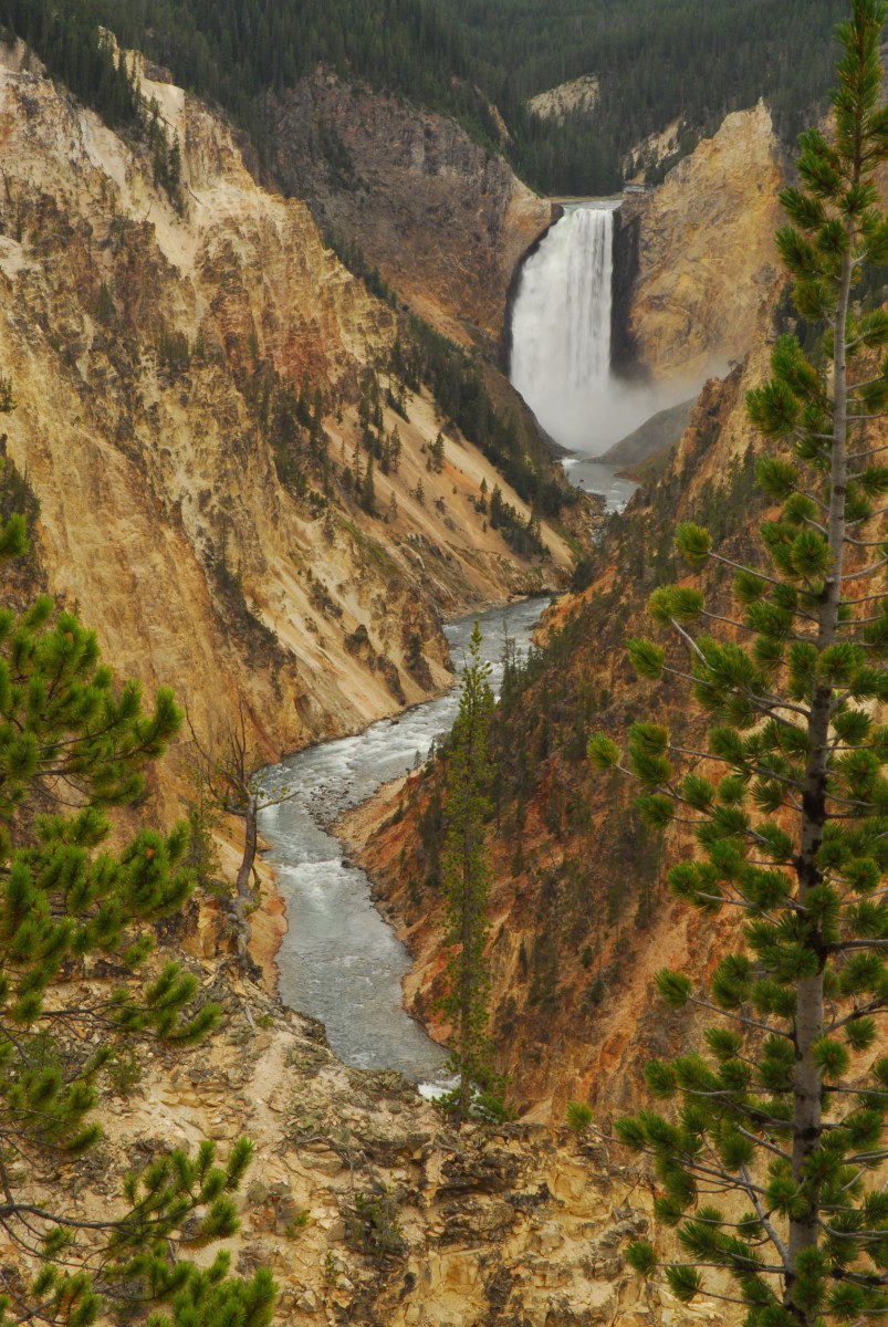 Lower Falls, Grand Canyon of the Yellowstone  -  Yellowstone National Park, Wyoming