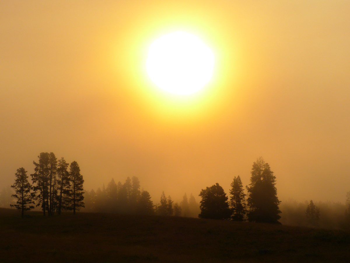 Early morning sun and fog - Yellowstone National Park, Wyoming