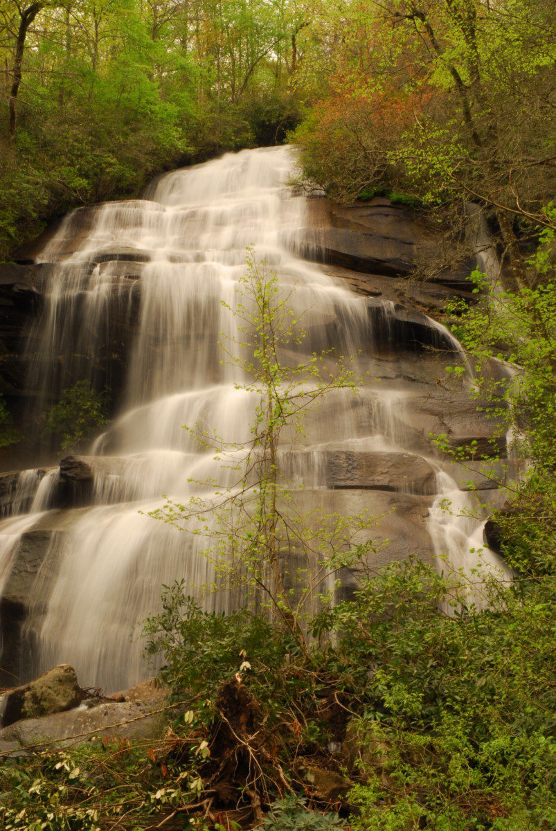 Daniel Ridge Falls  -  Pisgah National Forest, North Carolina  