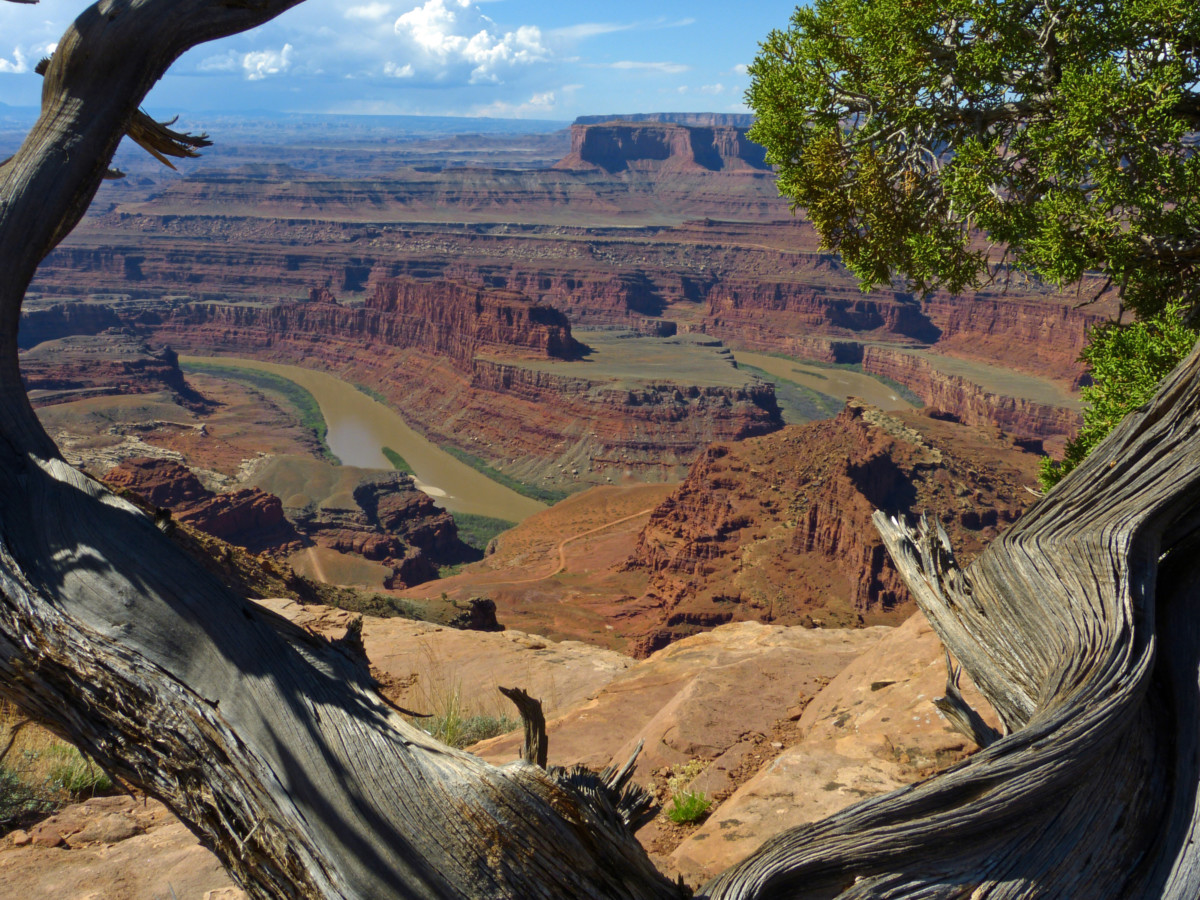 View of the Colorado River - Dead Horse Point State Park, Utah