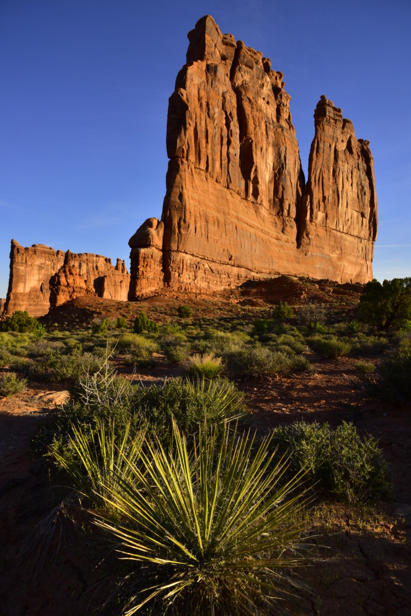 The Organ  -   Arches National Park, Utah