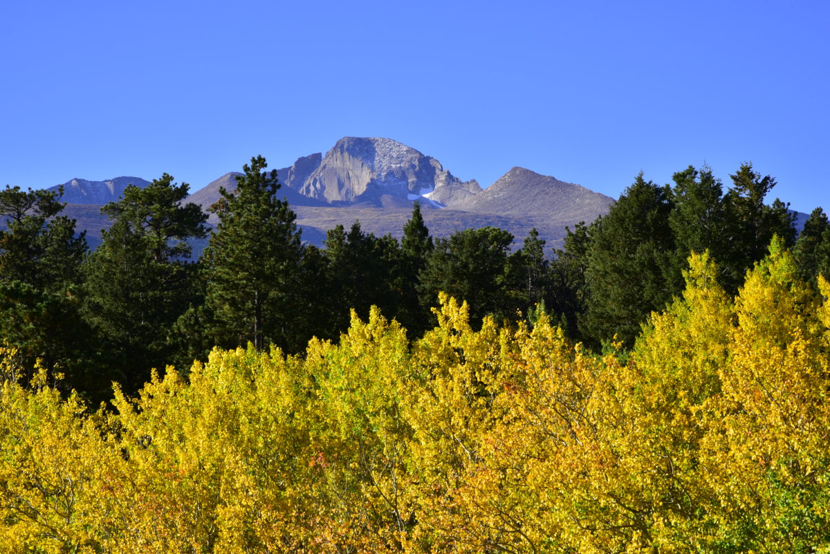 Aspens and Longs Peak - from Bear Lake Road, Rocky Mountain National Park, Colorado