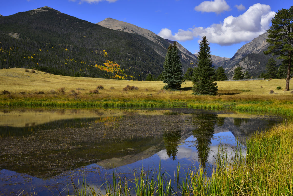 Reflection in Sheep Lakes  -  Horseshoe Park  -  Rocky Mountain National Park, Colorado