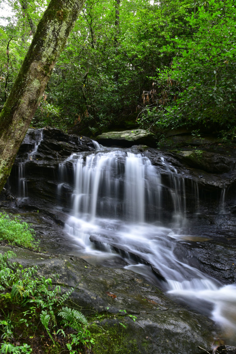 Pleasant Ridge Falls  -  Pleasant Ridge County Park, Greenville County, South Carolina
