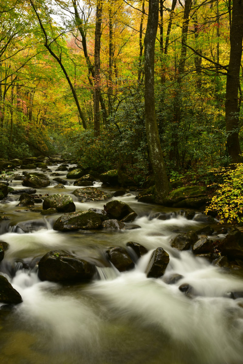 Middle Saluda River, fall colors  -  Jones Gap State Park, South Carolina