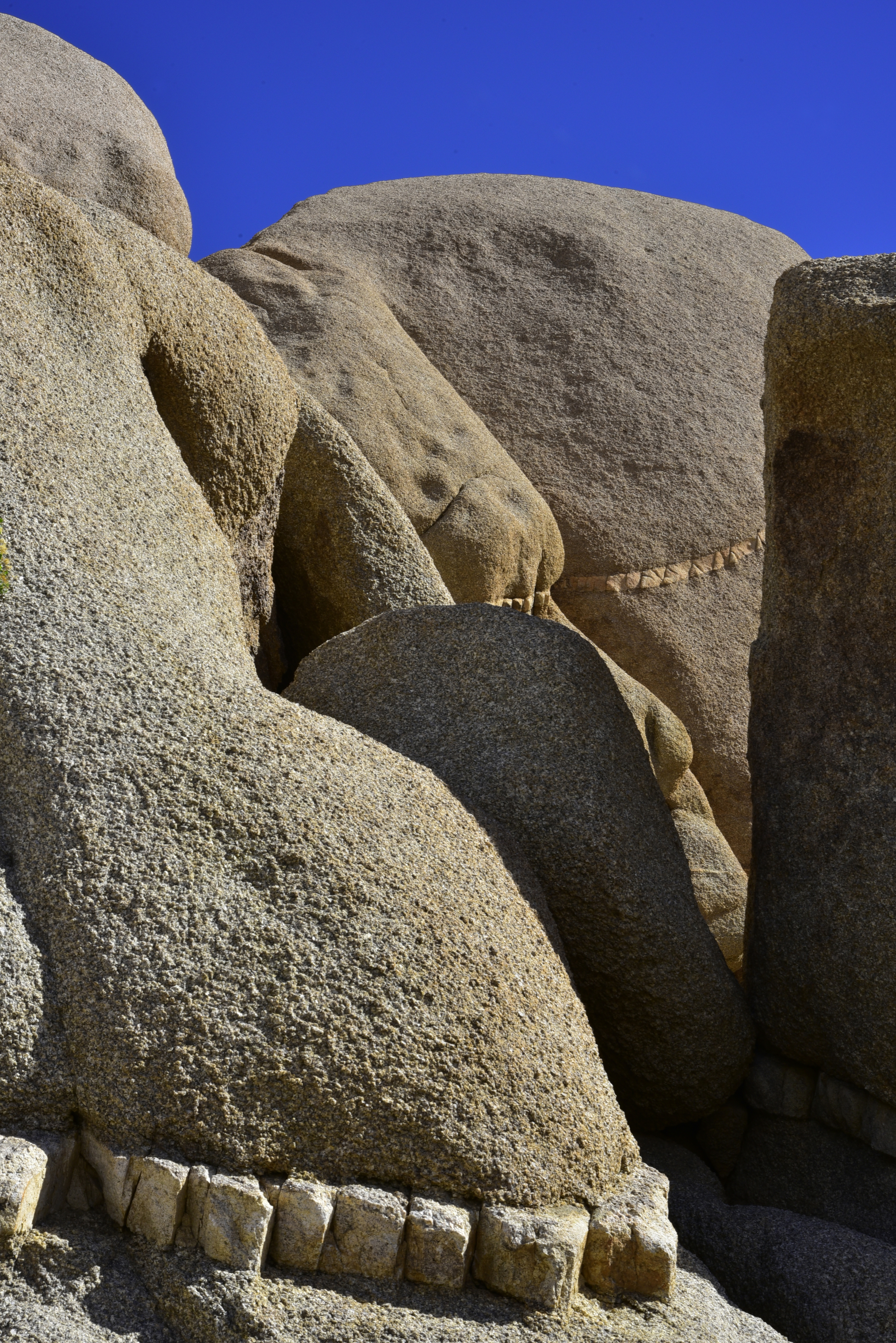 Quartz intrusion veins in granite rocks  -  Live Oak Picnic Area, Joshua Tree National Park, California  
