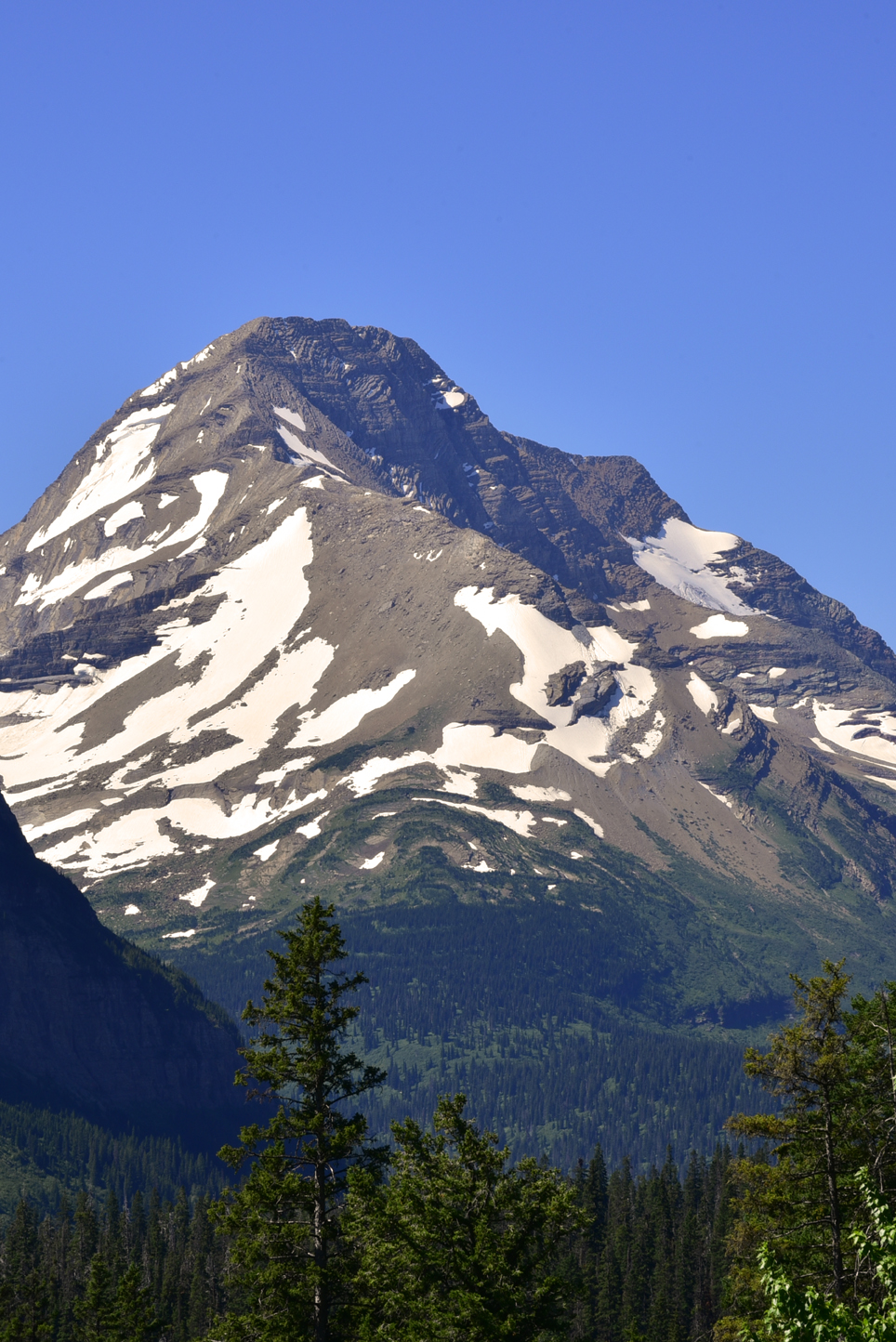 View - Going To The Sun Road, Glacier National Park, MT