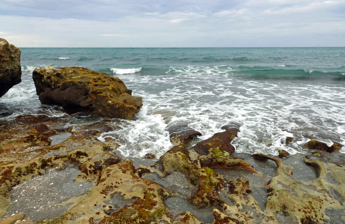 Limestone rocks and surf - Coral Cove Park, Palm Beach County, FL