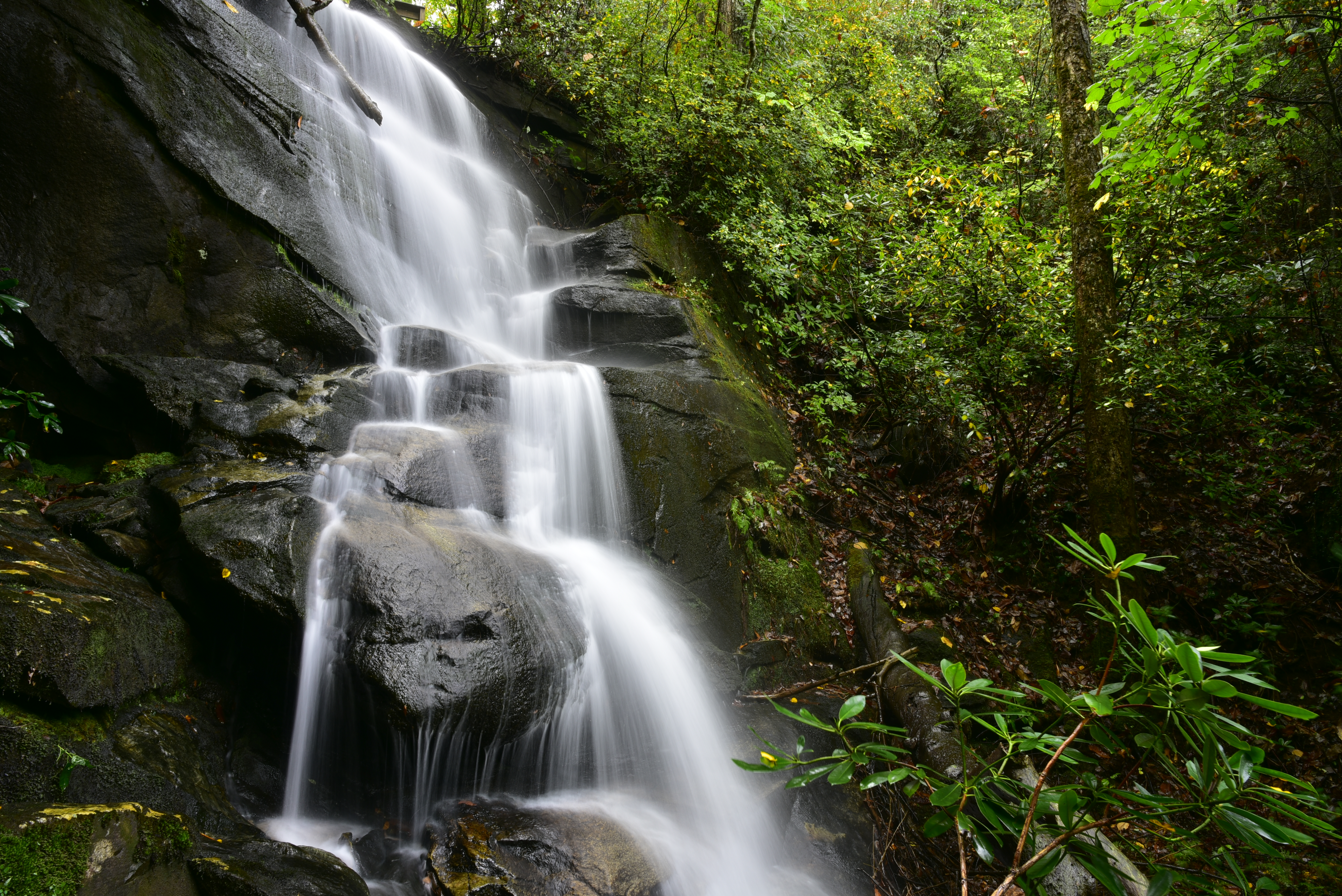 Cliff Falls  -  Frank Coggins Trail, Mountain Bridge Wilderness Area, South Carolina