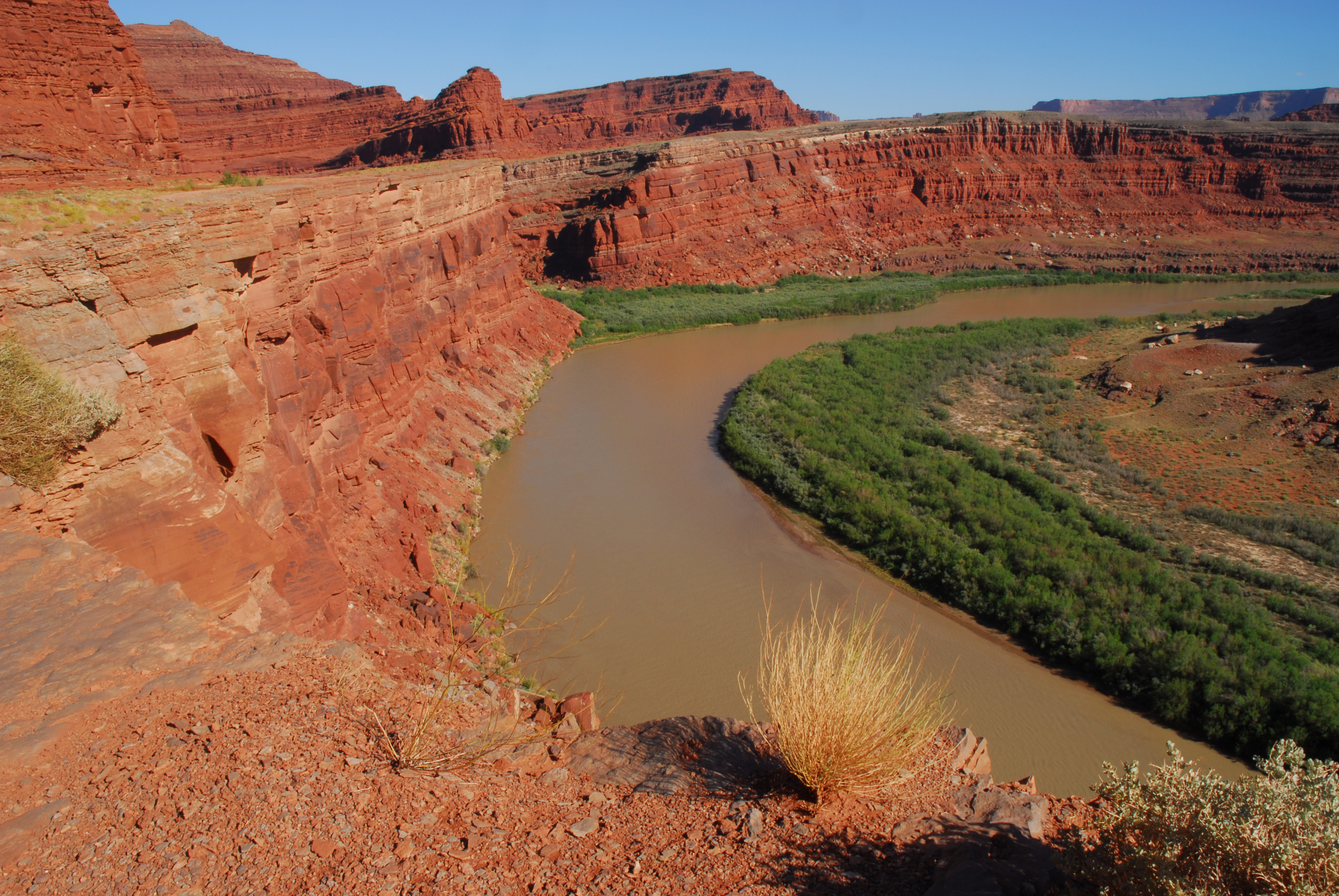 Colorado River  -  Shafer Trail, BLM Land, near Moab, Utah 