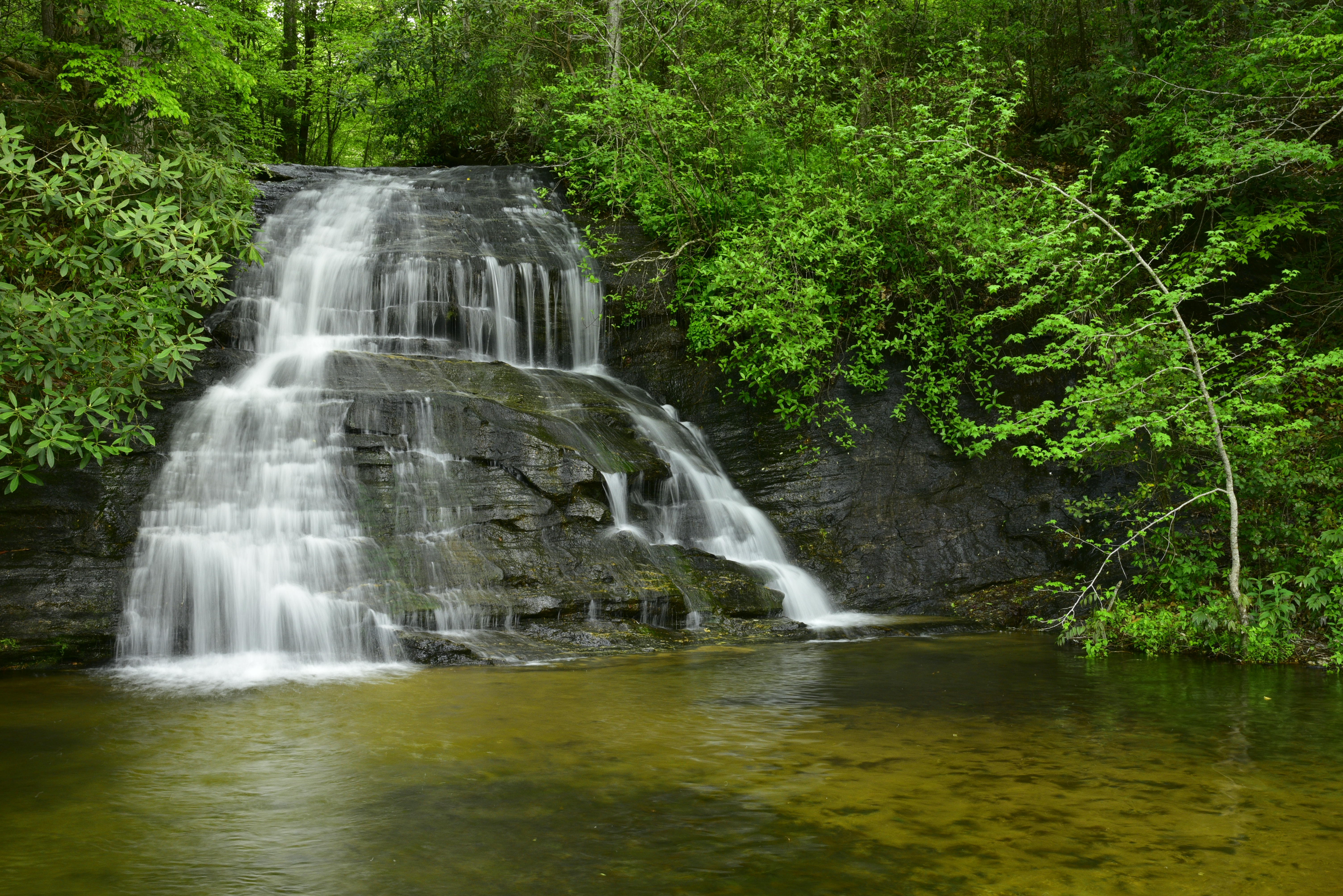 Wildcat Falls (Lower Tier)  -  Greenville County, South Carolina  