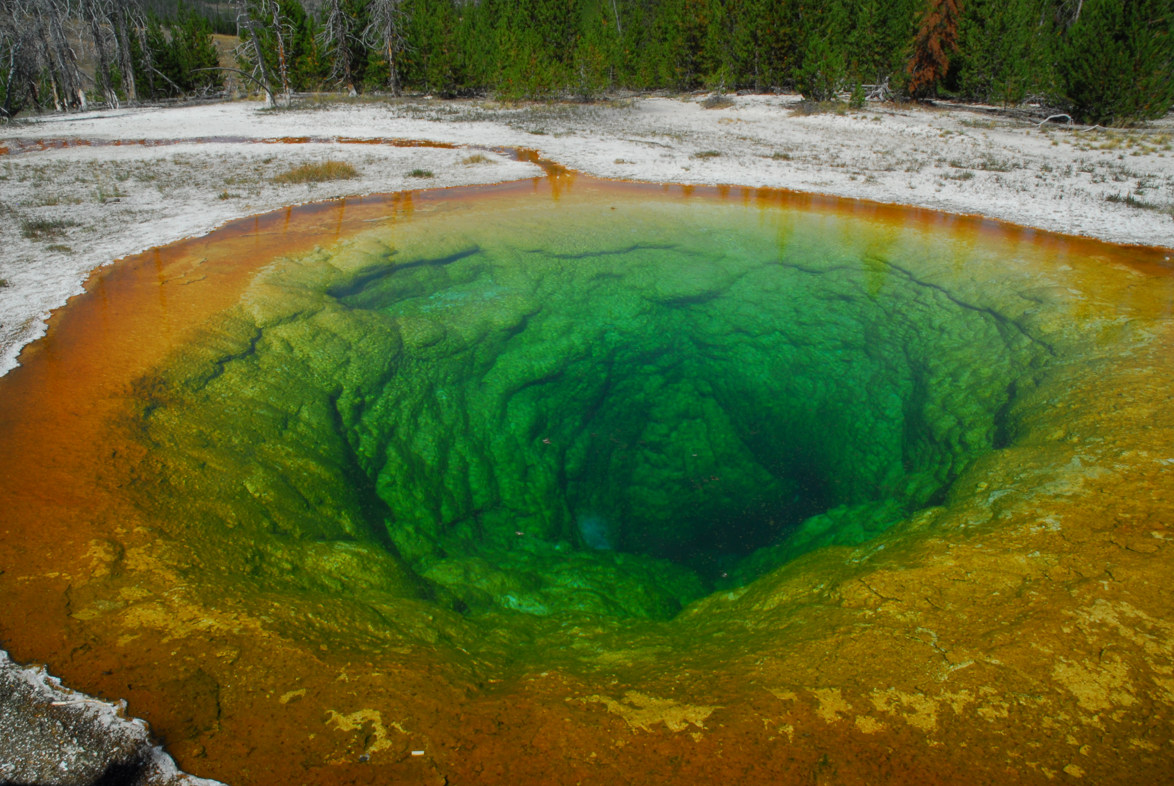 Morning Glory Pool -  Upper Geyser Basin, Yellowstone National Park, Wyoming