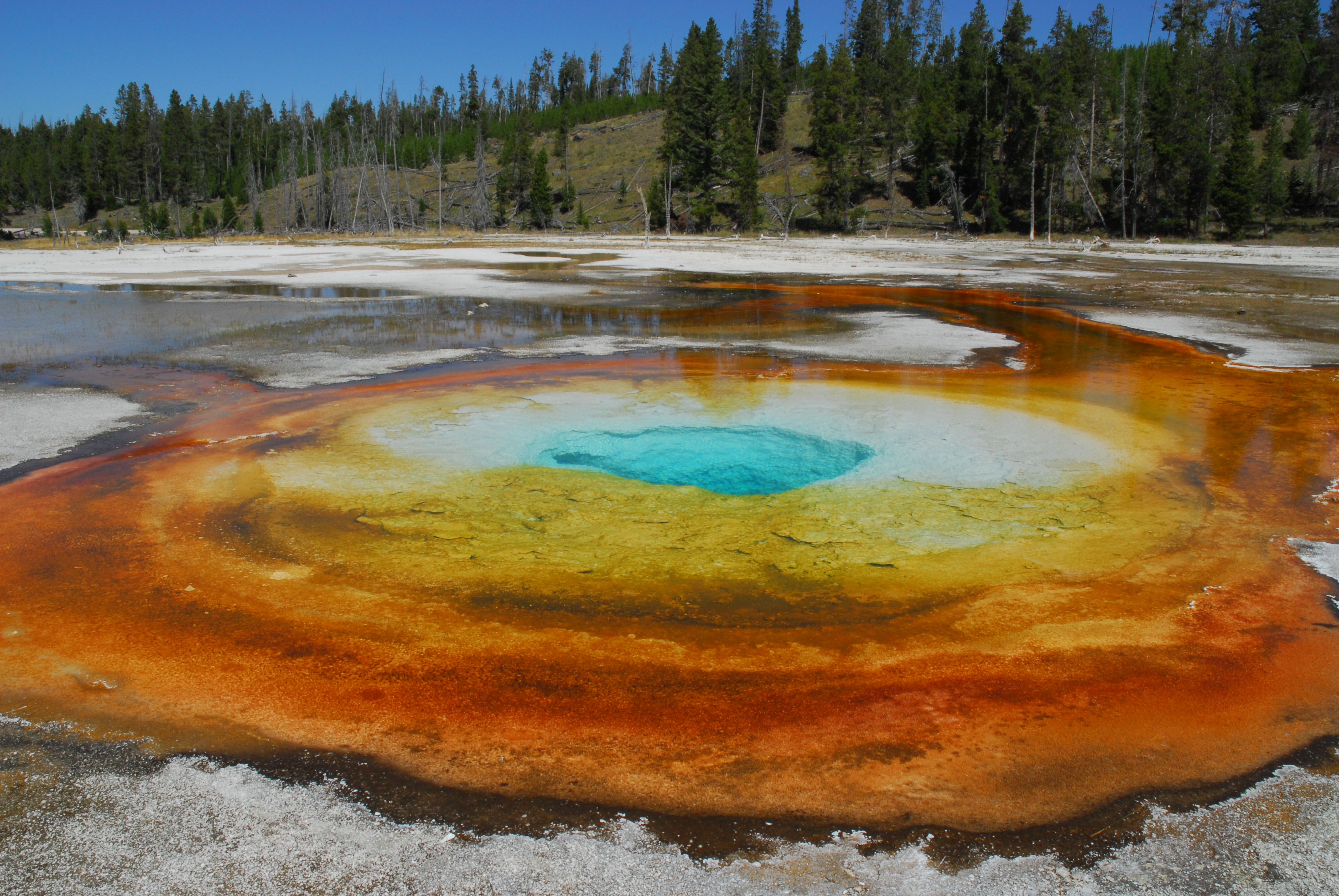 Chromatic Pool -  Upper Geyser Basin, Yellowstone National Park, Wyoming
