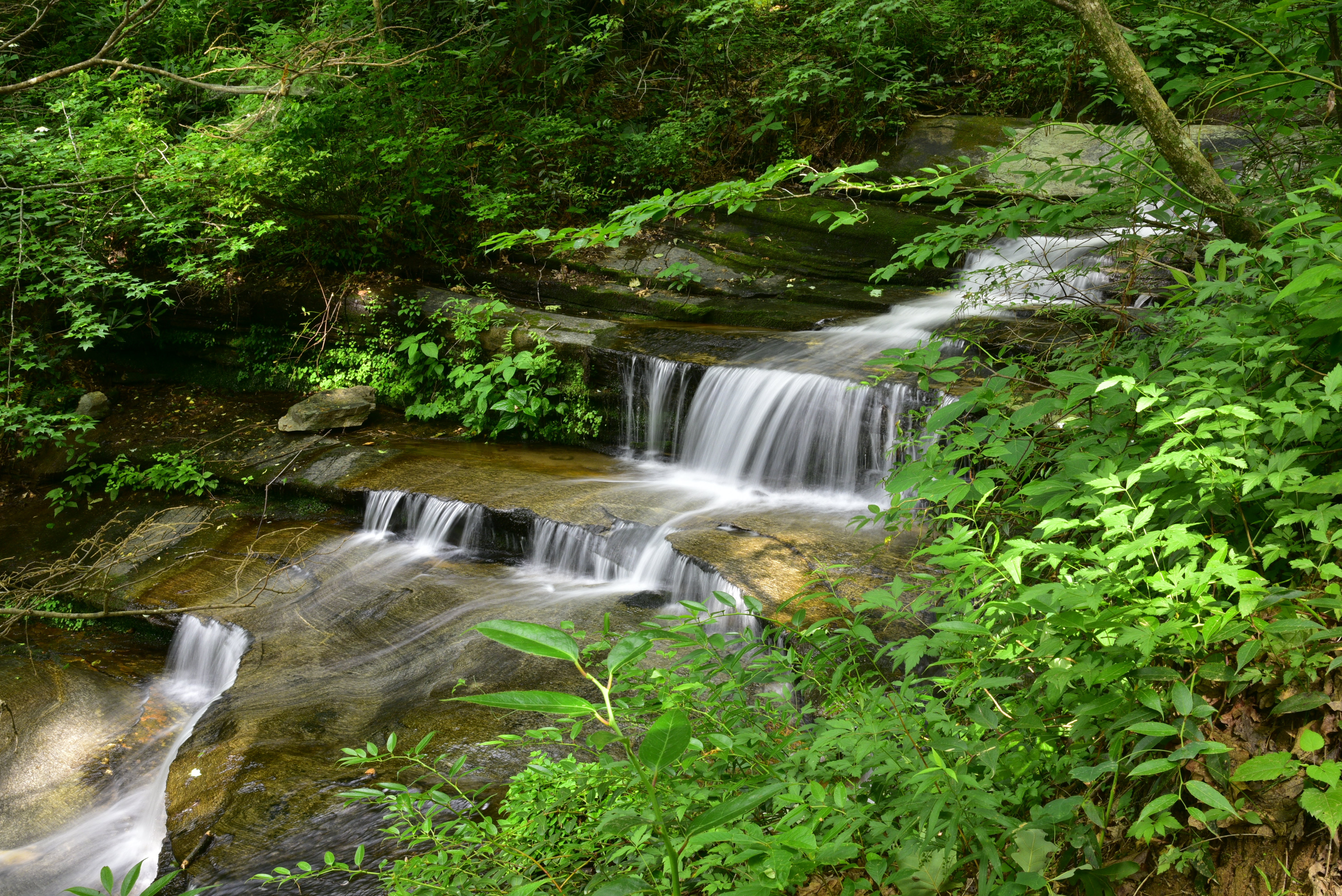Waterfall along Carrick Creek Trail  -  Table Rock State Park, South Carolina