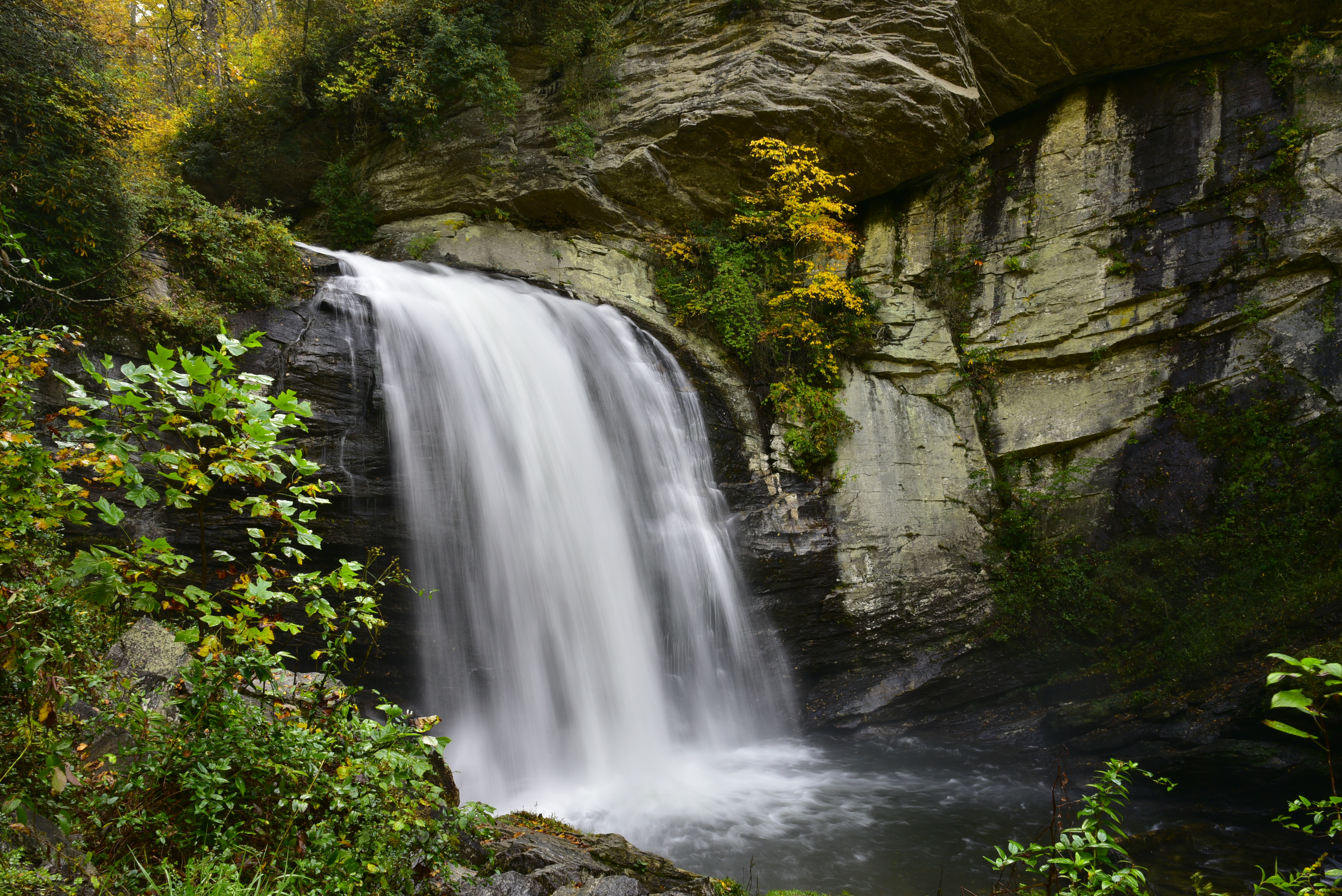 Looking Glass Falls in autumn  -  Pisgah National Forest, North Carolina