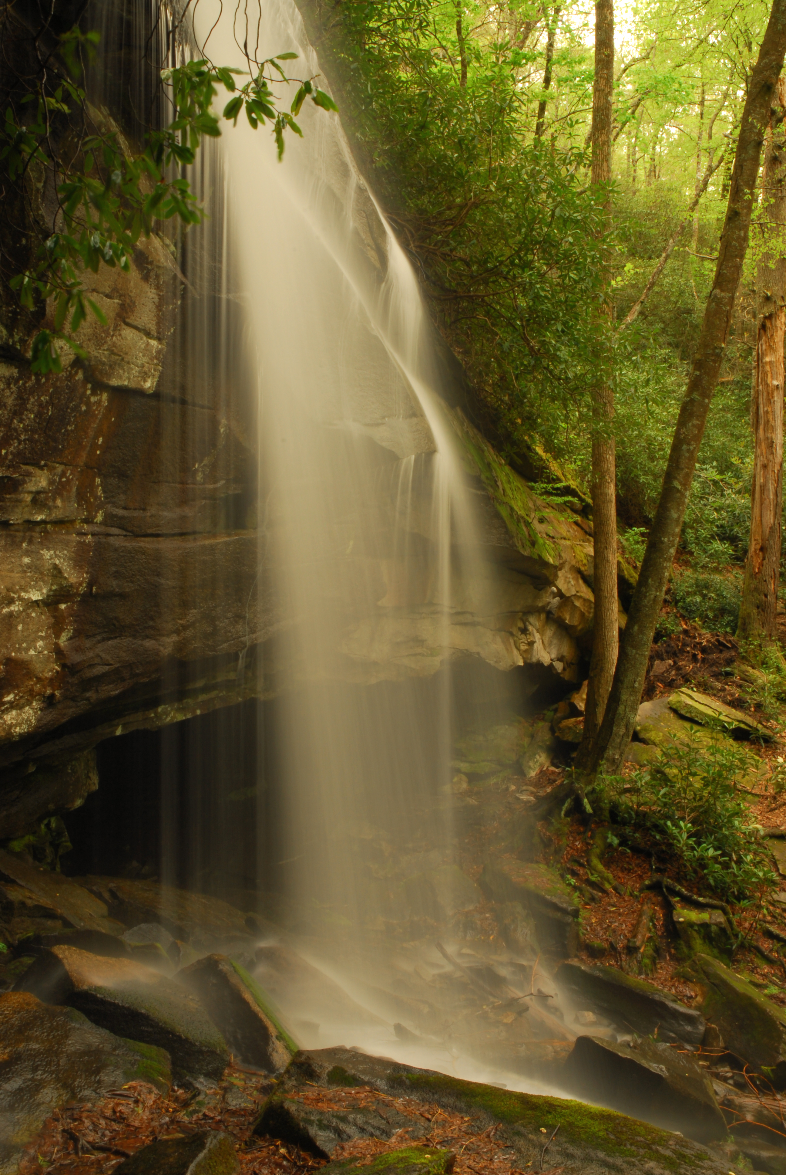 Slickrock Falls  -  Pisgah National Forest, North Carolina  