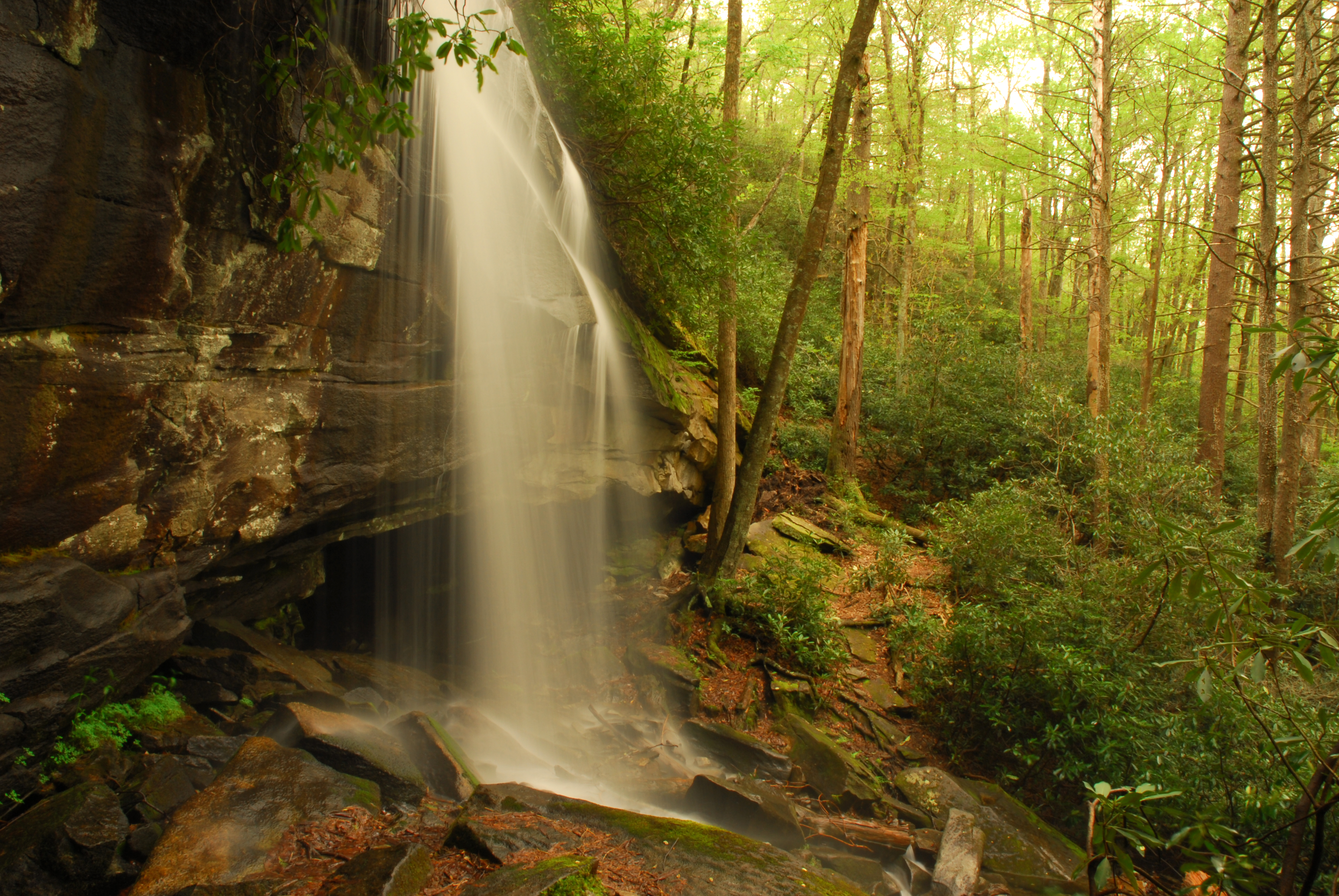 Slickrock Falls  -  Pisgah National Forest, North Carolina  
