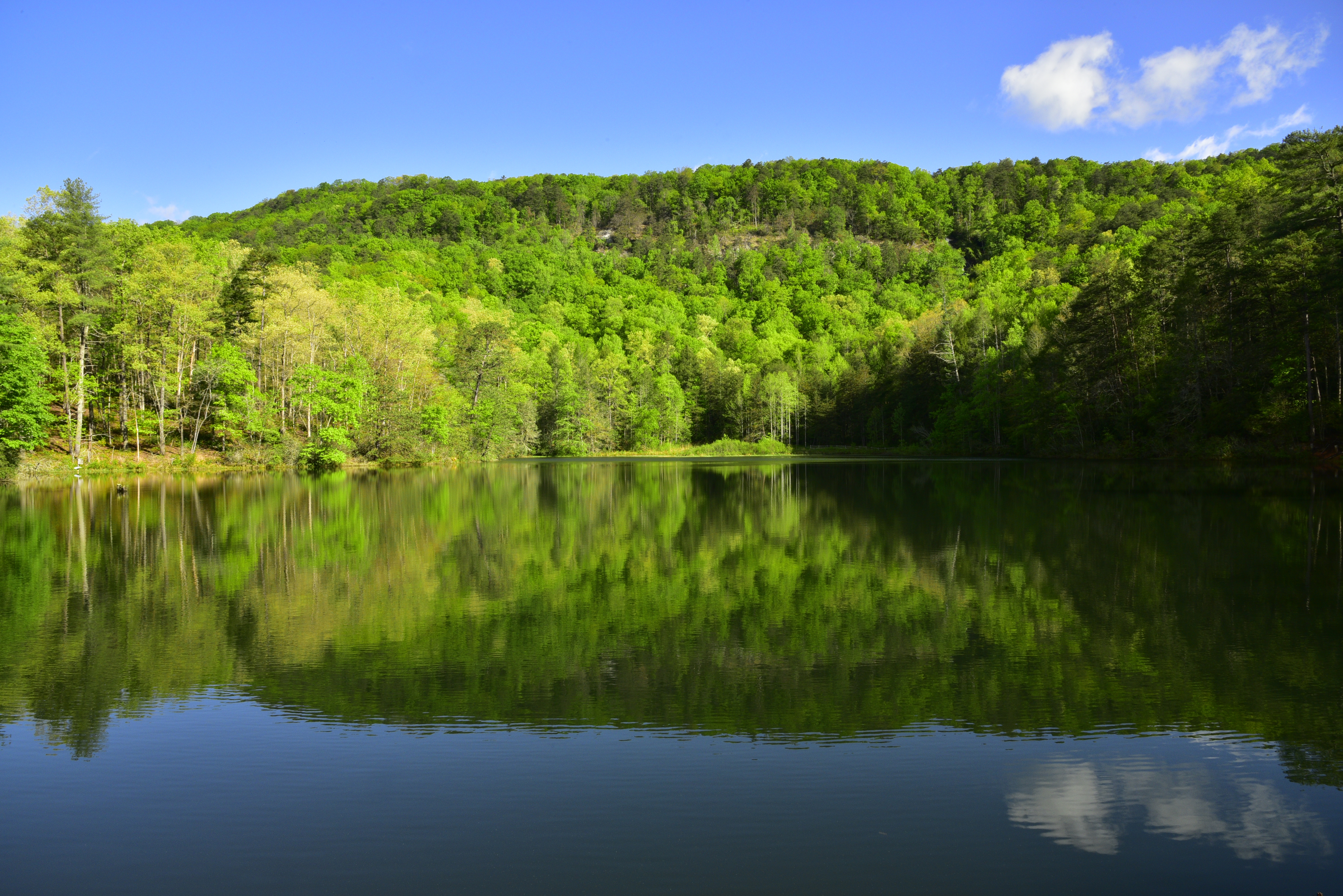 Lake Wattacoo  -  Ashmore Heritage Preserve, Mountain Bridge Wilderness Area, South Carolina