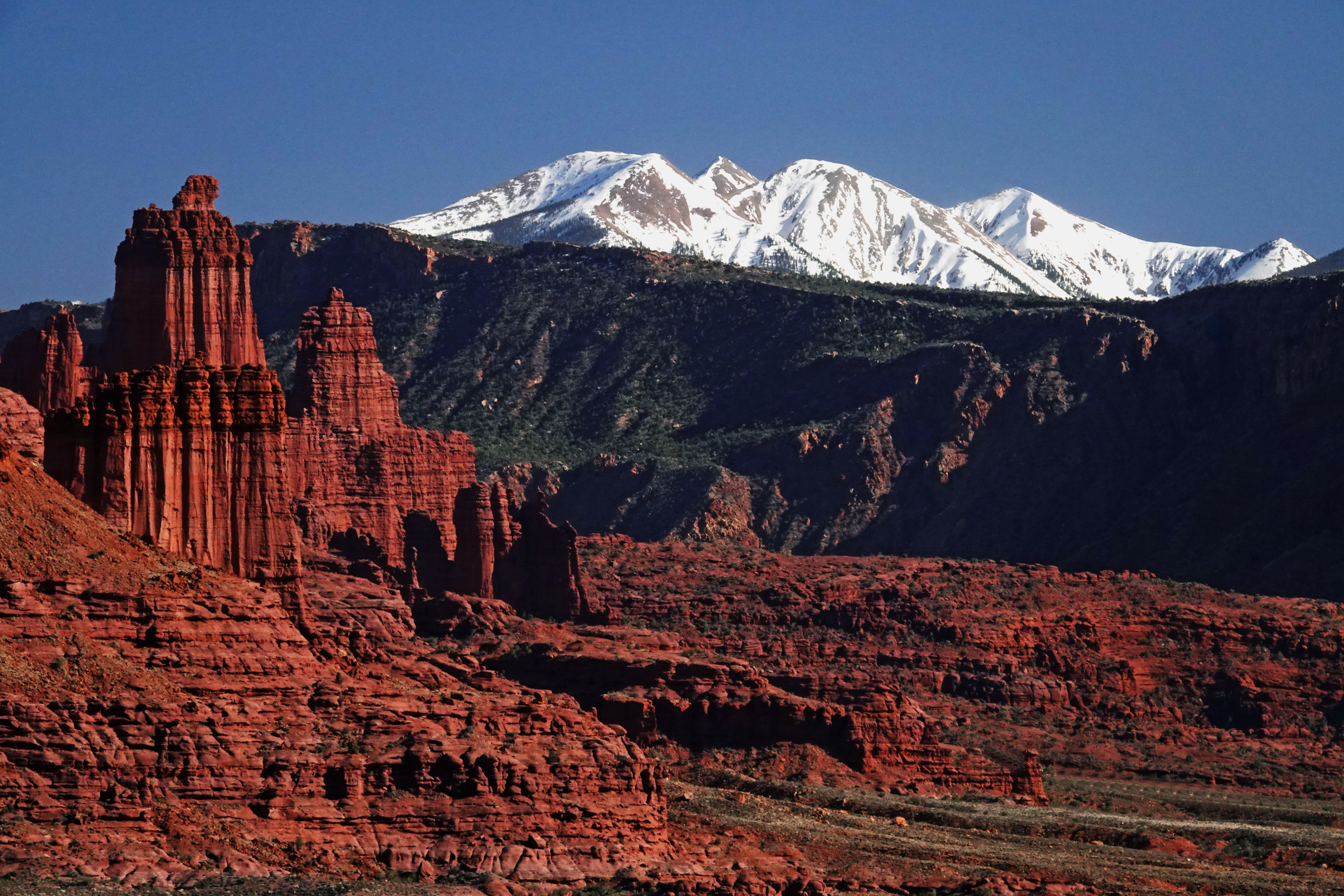 Fisher Towers, La Sal Mountains in late afternoon light  -  Utah 128, Grand County, Utah