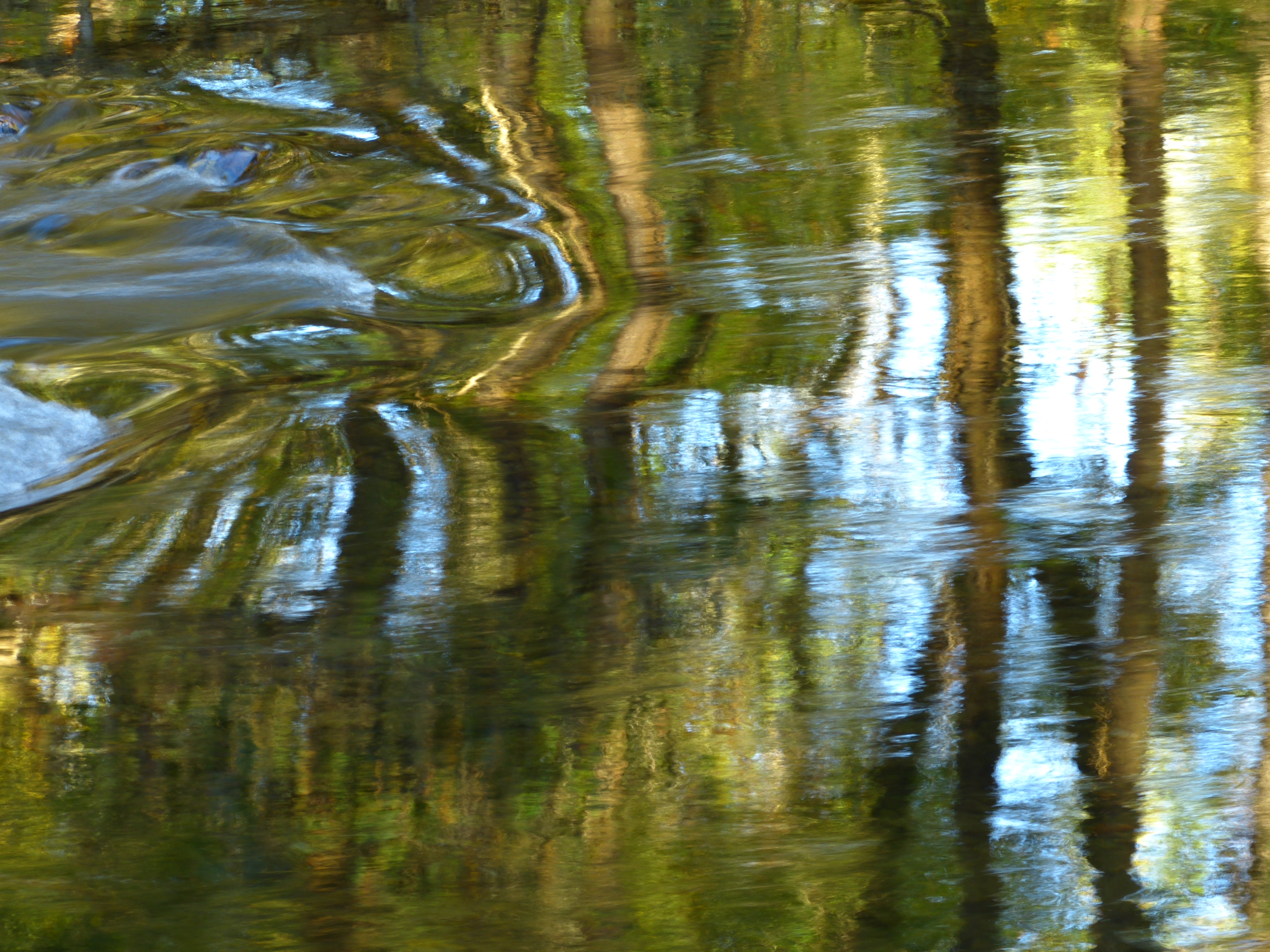 Reflection in Davidson River  -  Pisgah National Forest, North Carolina