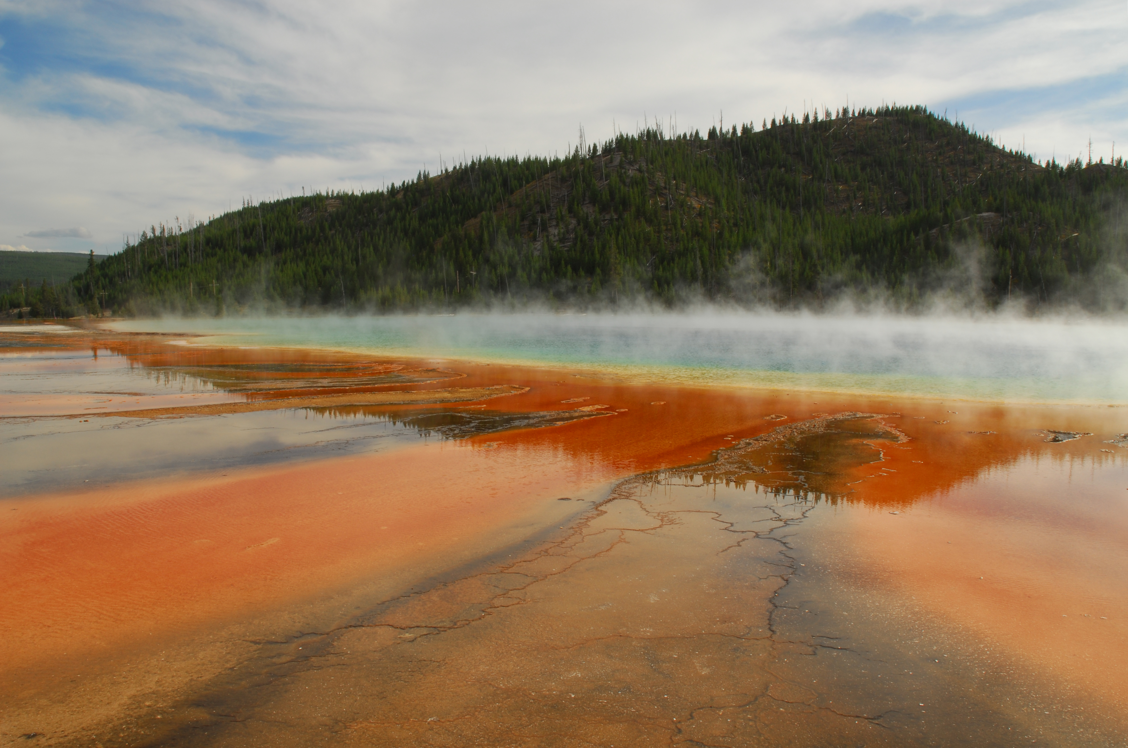 Grand Prismatic Spring  -  Midway Geyser Basin, Yellowstone National Park, Wyoming