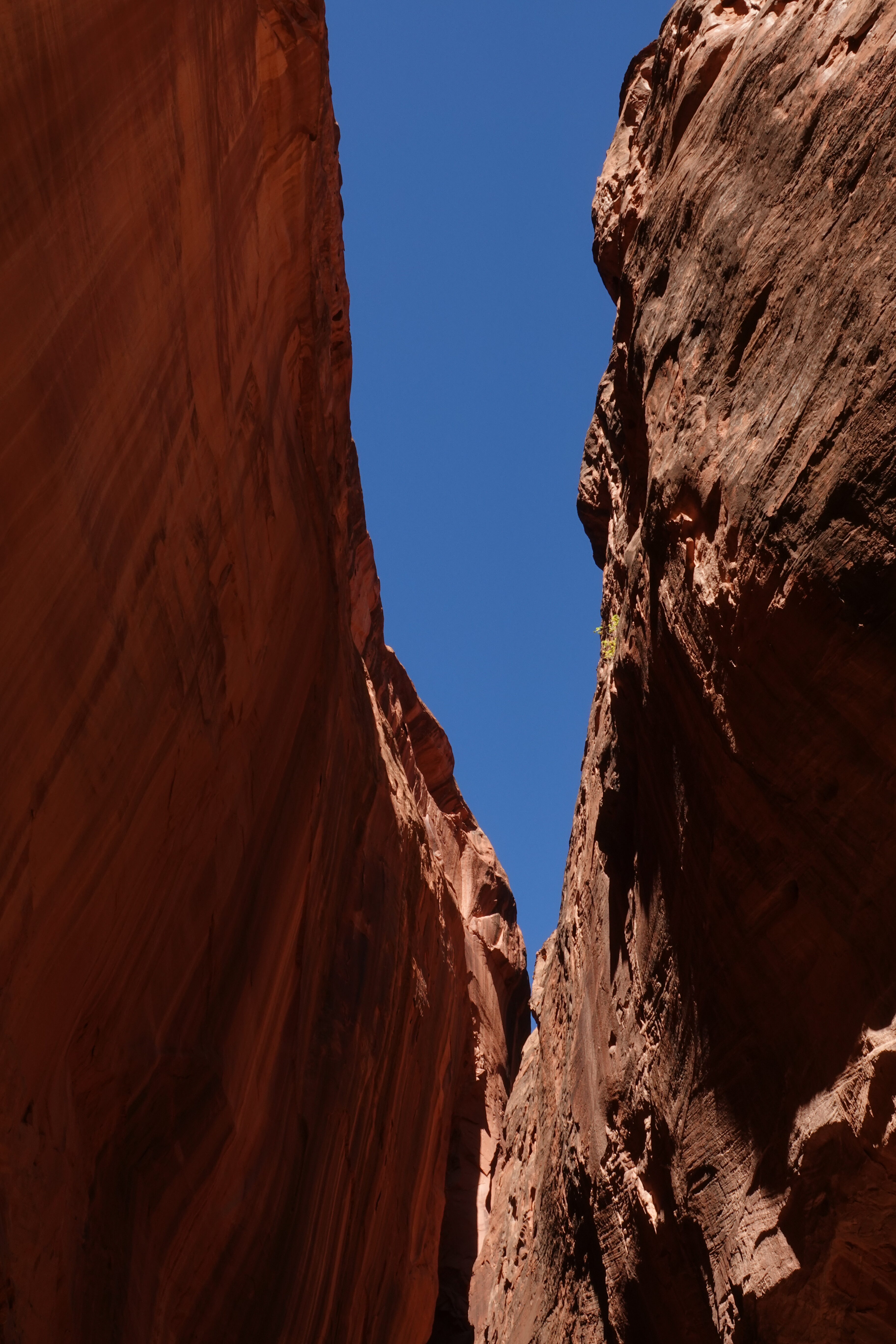 Slot canyon in Long Canyon  -  Burr Trail, Grand Staircase-Escalante National Monument, Utah