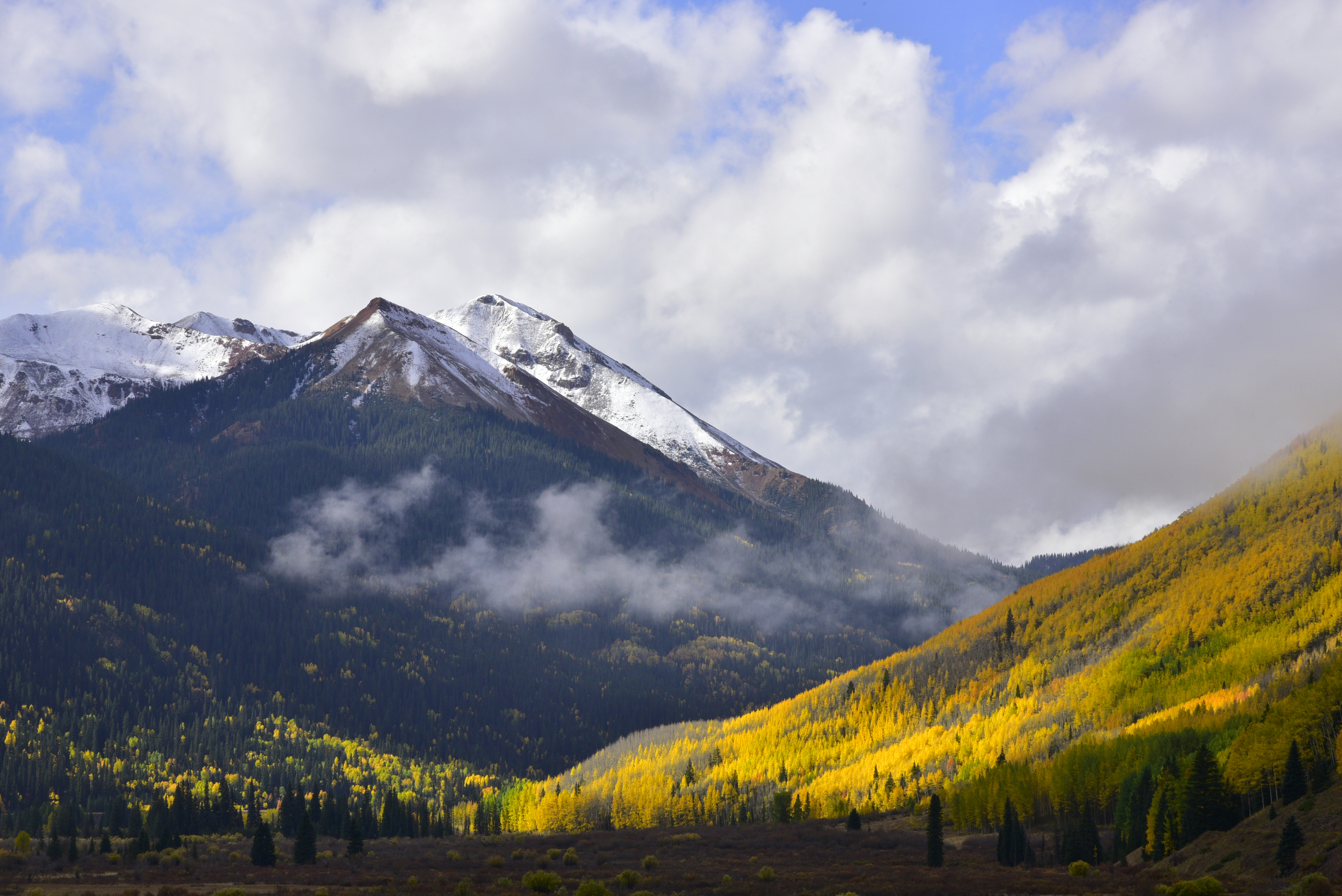 Fall colors, Red Mountains  -  Uncompahgre National Forest, Colorado