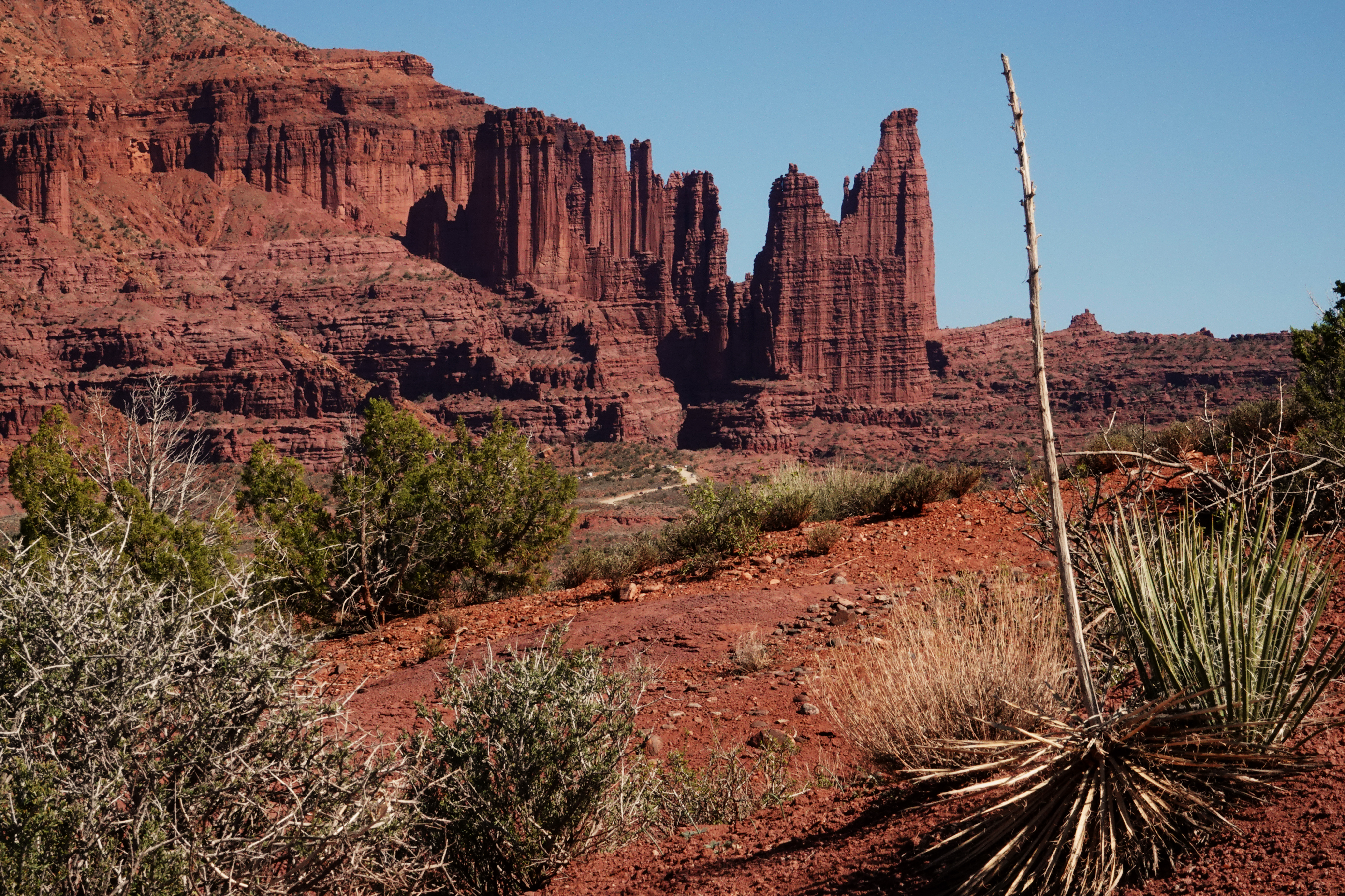 View of Fisher Towers  -  from just off Utah 128, Grand County, Utah  