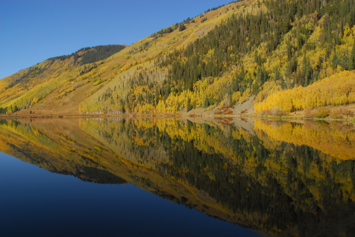 Fall colors reflection  -  Crystal Lake, Uncompahgre National Forest, Colorado  