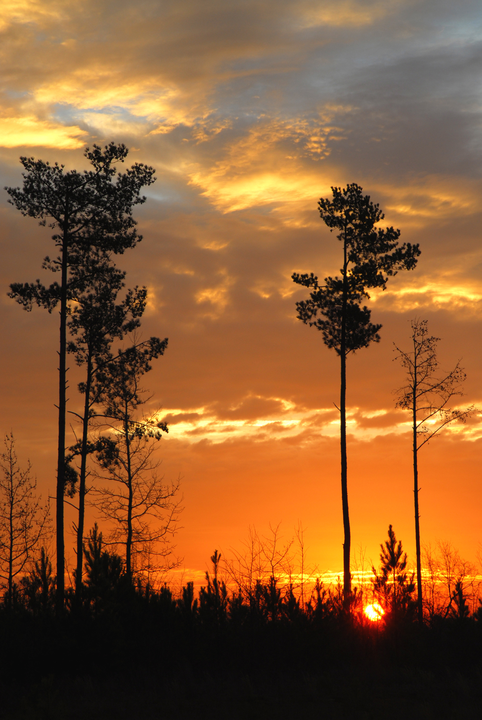 Sunrise  -  Greenville County, South Carolina