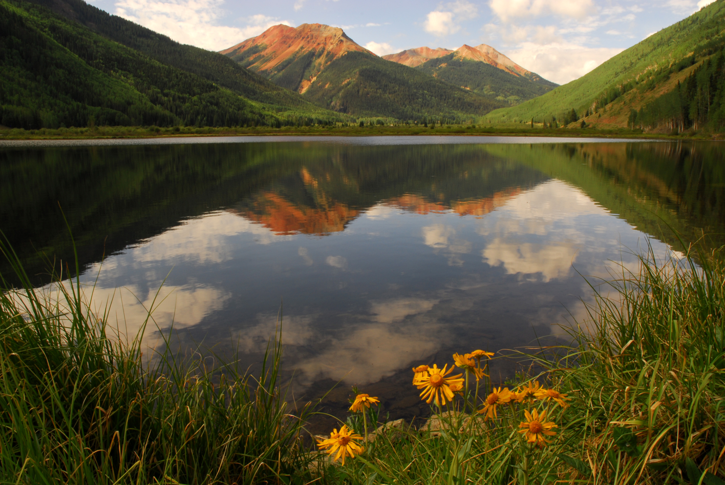 Alpine sunflowers, Red Mountains reflection  -  Crystal Lake, Uncompahgre National Forest, Colorado