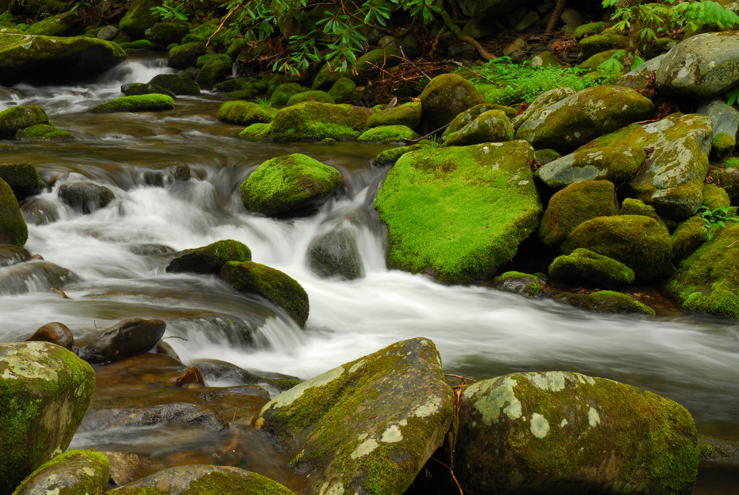 Moss-covered rocks and Roaring Fork  -  Roaring Fork Motor Nature Trail, Great Smoky Mountains National Park, Tennessee