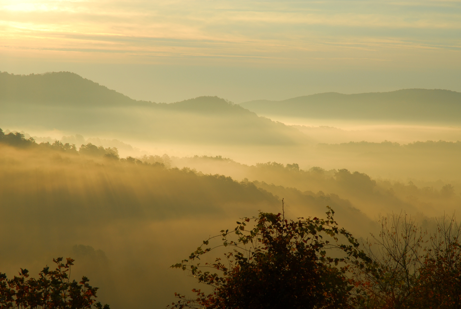 Early morning fog, mountain ridges   -  Greenville County, South Carolina  [2014]