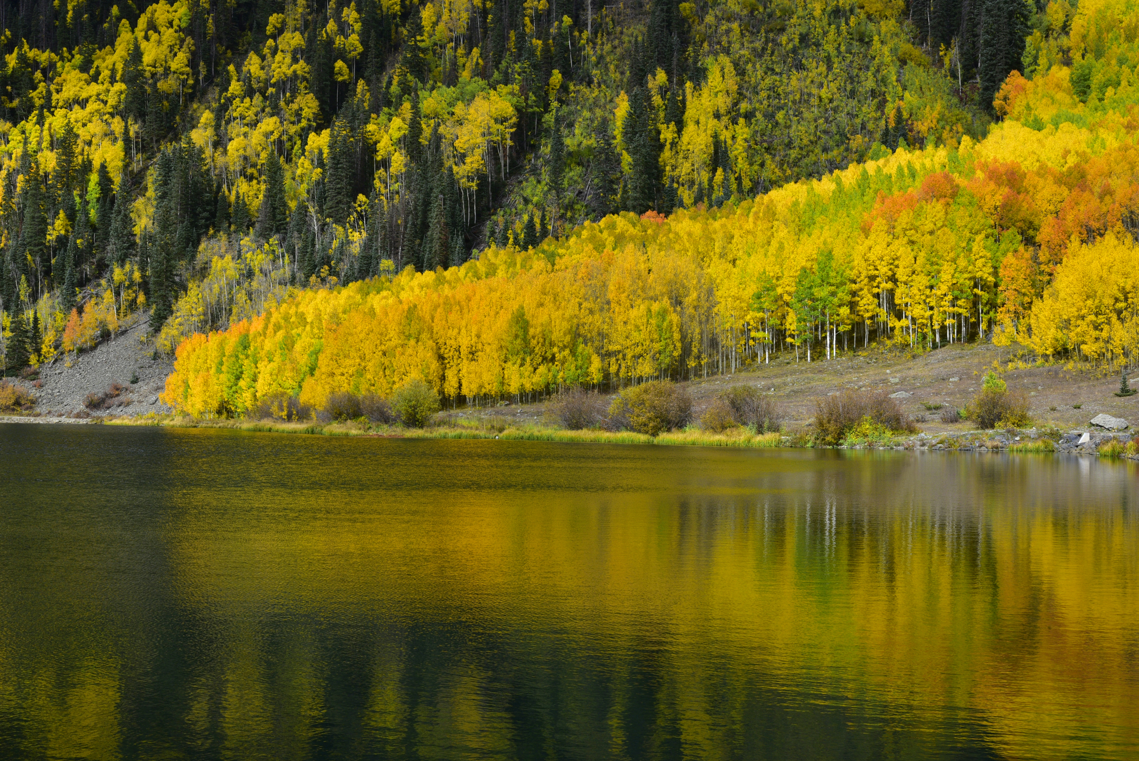 Fall colors reflection  -  Crystal Lake, Uncompahgre National Forest, Colorado  
