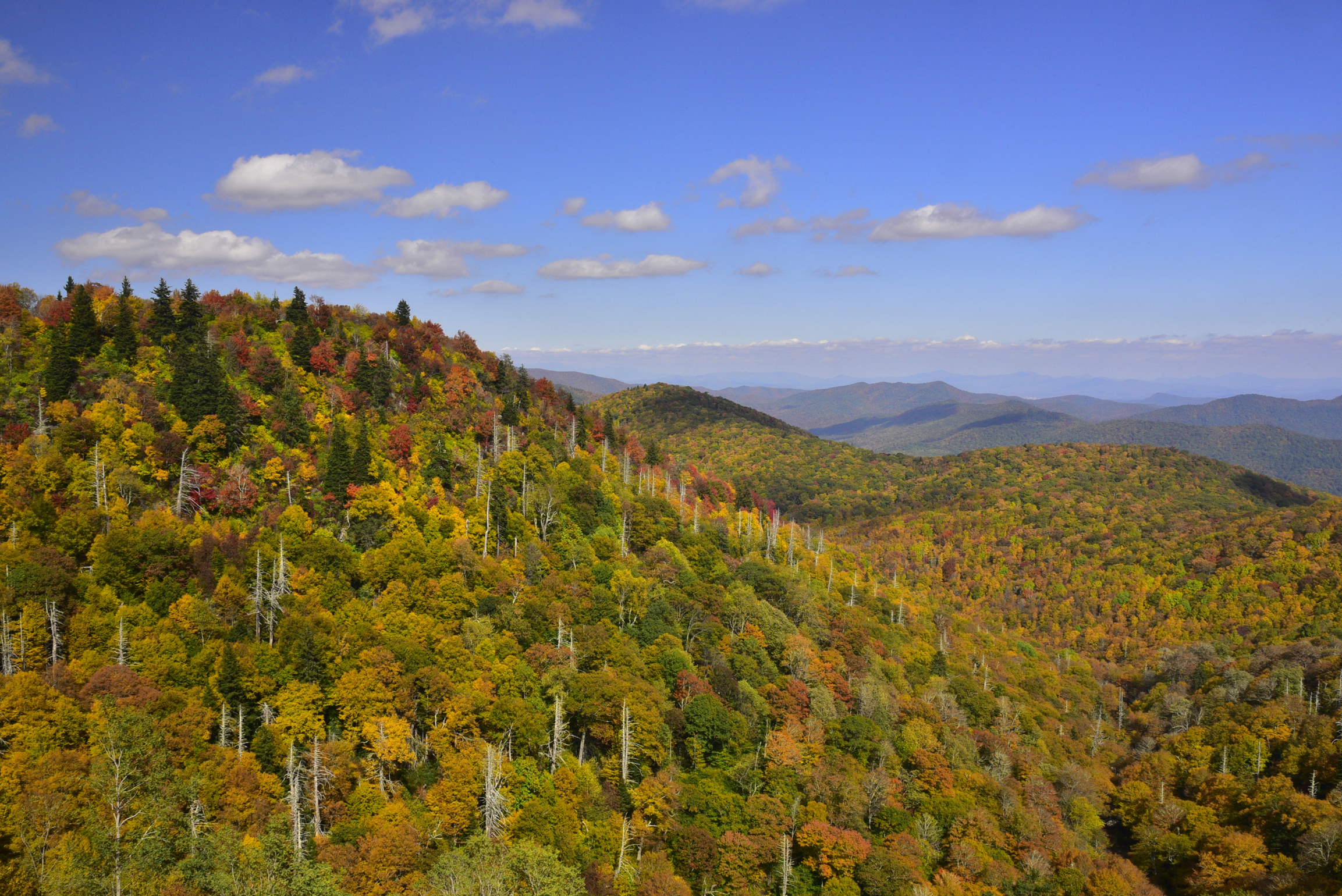 Fall colors   -  East Fork Overlook, Blue Ridge Parkway, North Carolina  [2022]