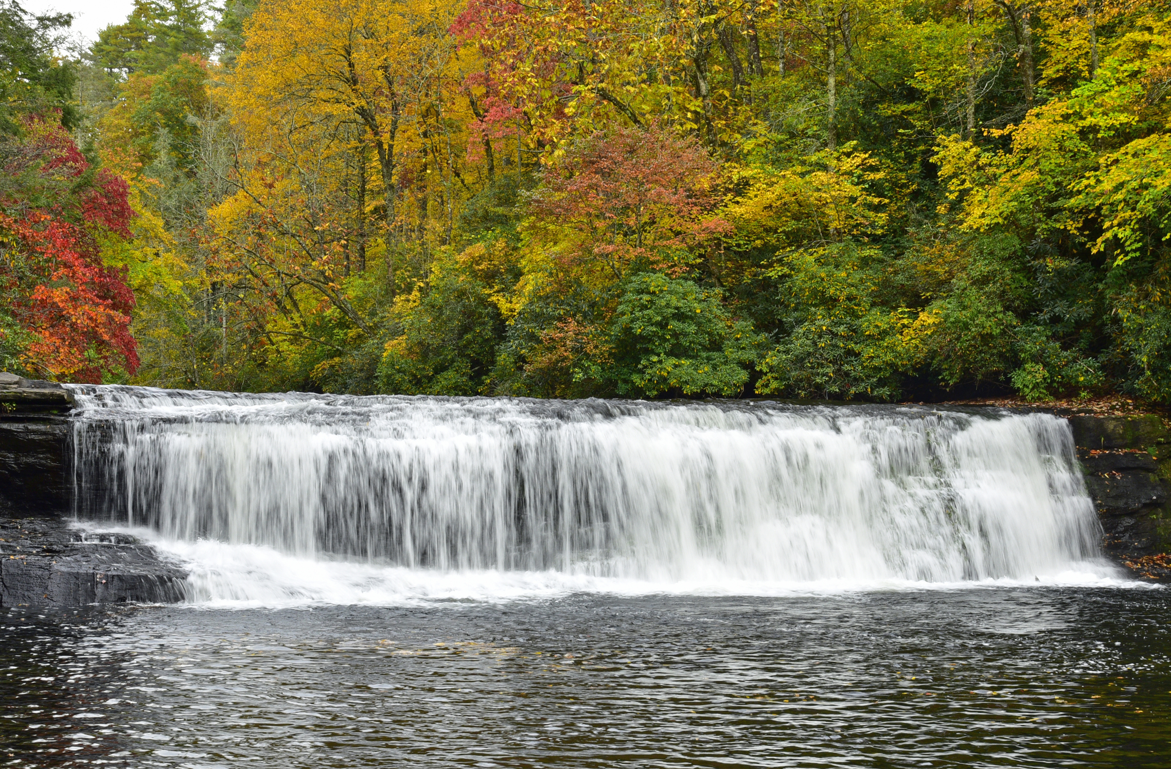 Hooker Falls   -  Dupont State Recreational Forest, North Carolina  [2022]