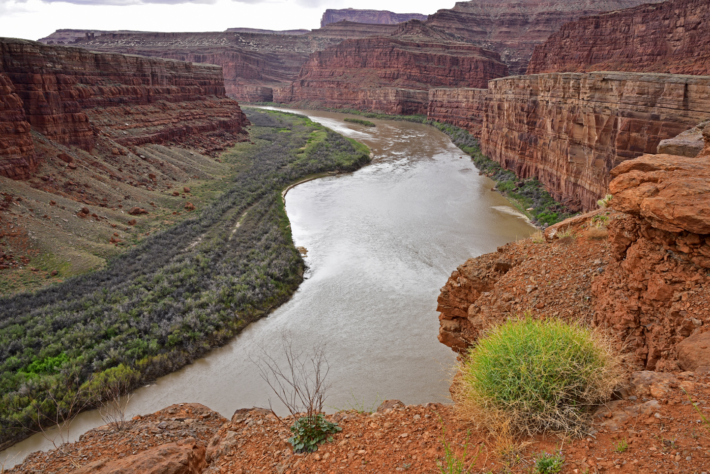 View of the Colorado River  -  BLM land, Utah