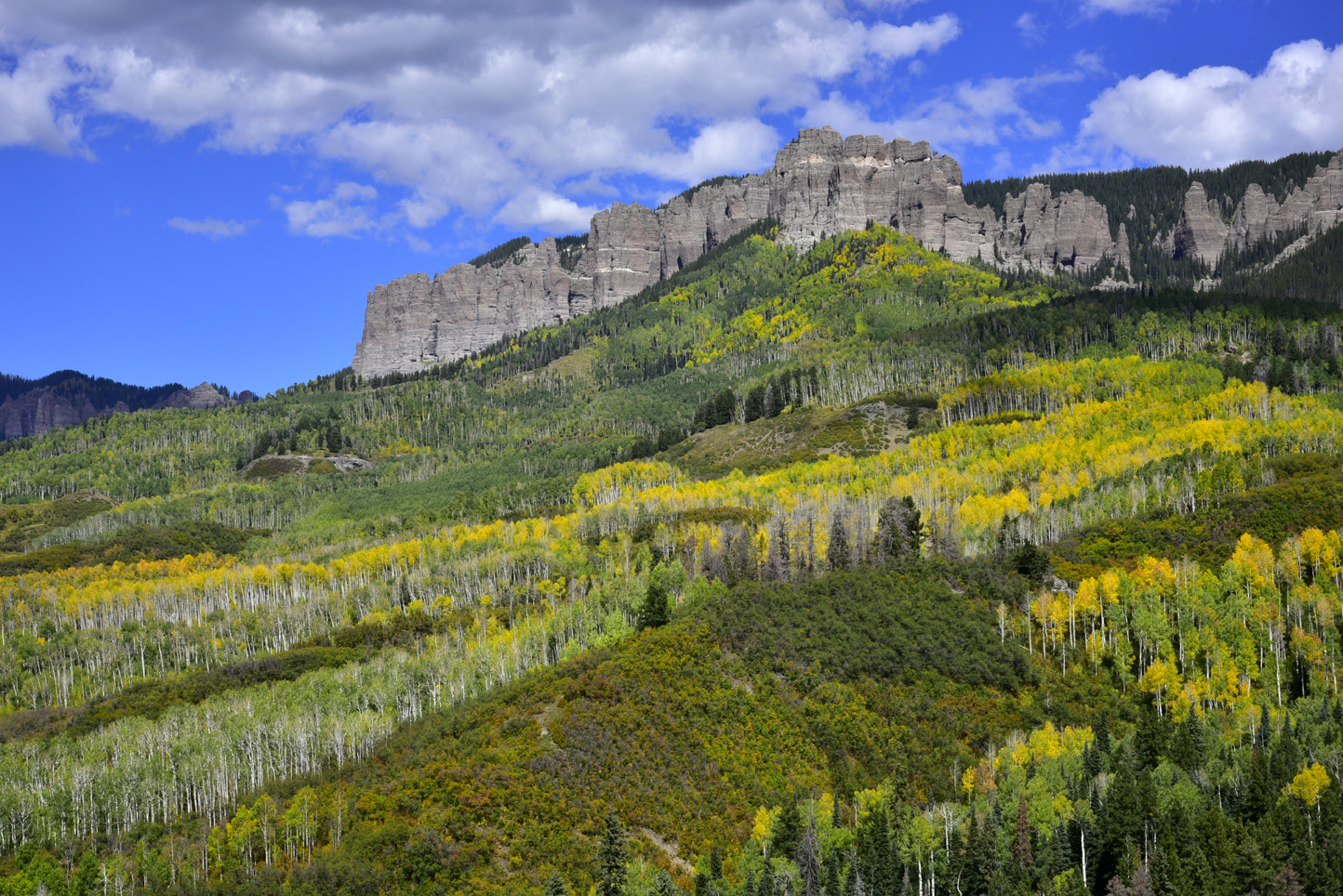 Fall colors, Cimarron Ridge  -  Forest Road 858, Uncompahgre National Forest, Colorado