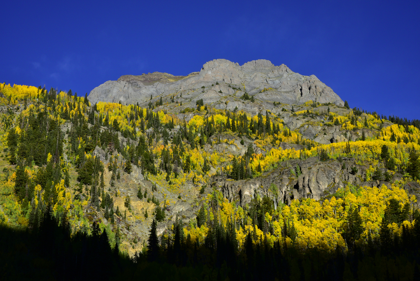 Fall colors, Hayden Mountain  -  Uncompahgre National Forest, Colorado
