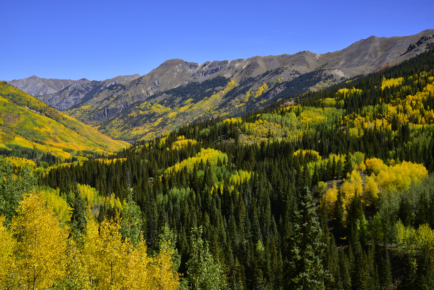 Fall colors, mountains  -  looking approximately north from Red Mountain Mining Exhibit, San Juan Skyway, Colorado