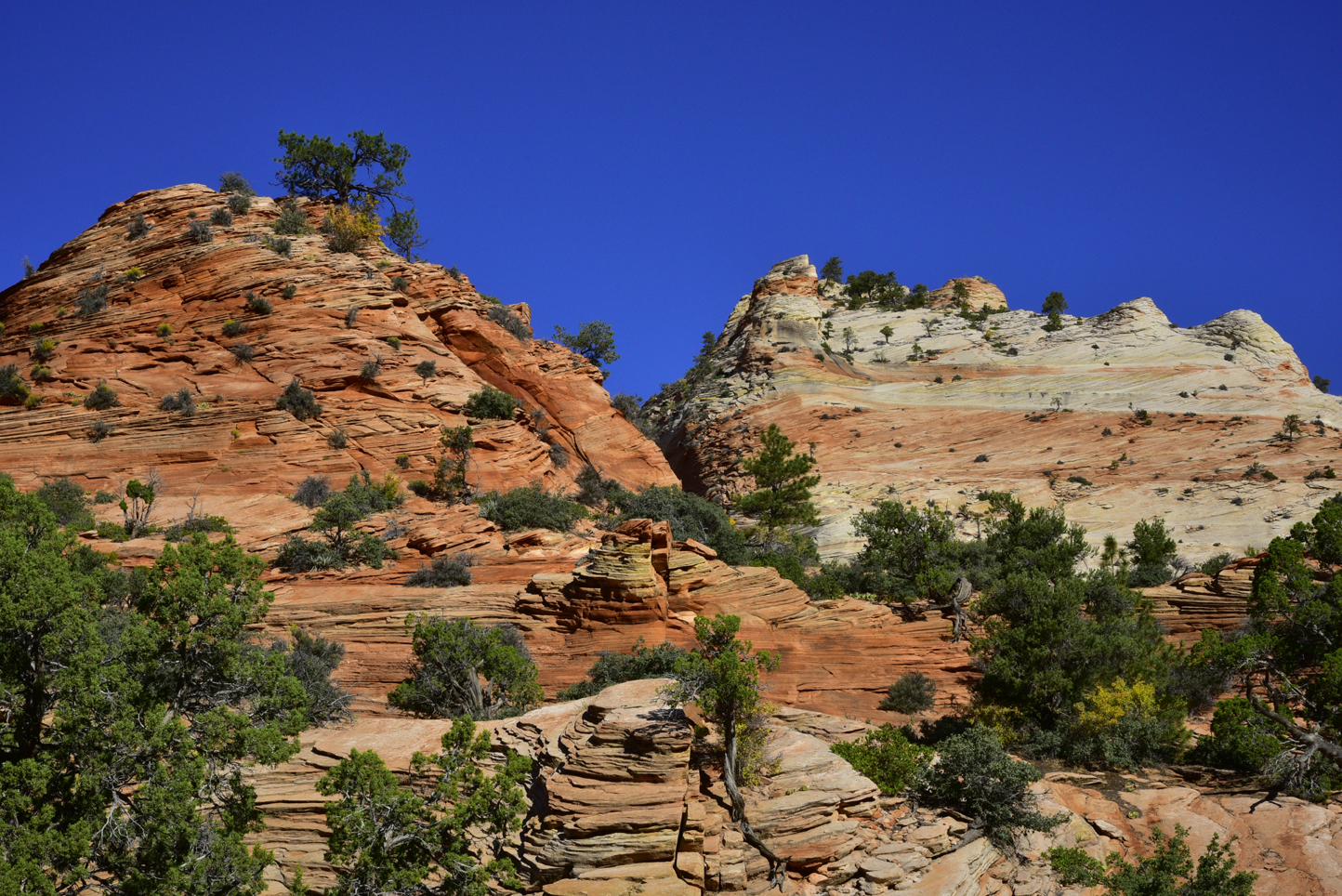Sandstone formations  -  Zion-Mt. Carmel Hwy (east of tunnel), Zion National Park, Utah
