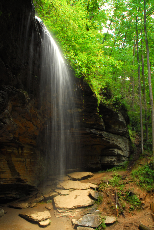 Moore Cove Falls  -  Pisgah National Forest, North Carolina