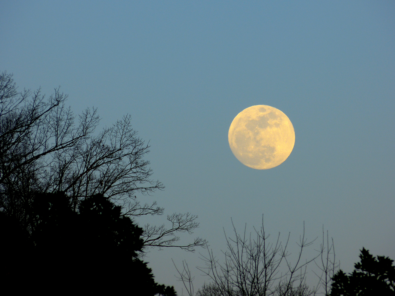 Super Moon, 30 January 2018  -  Greenville County, South Carolina