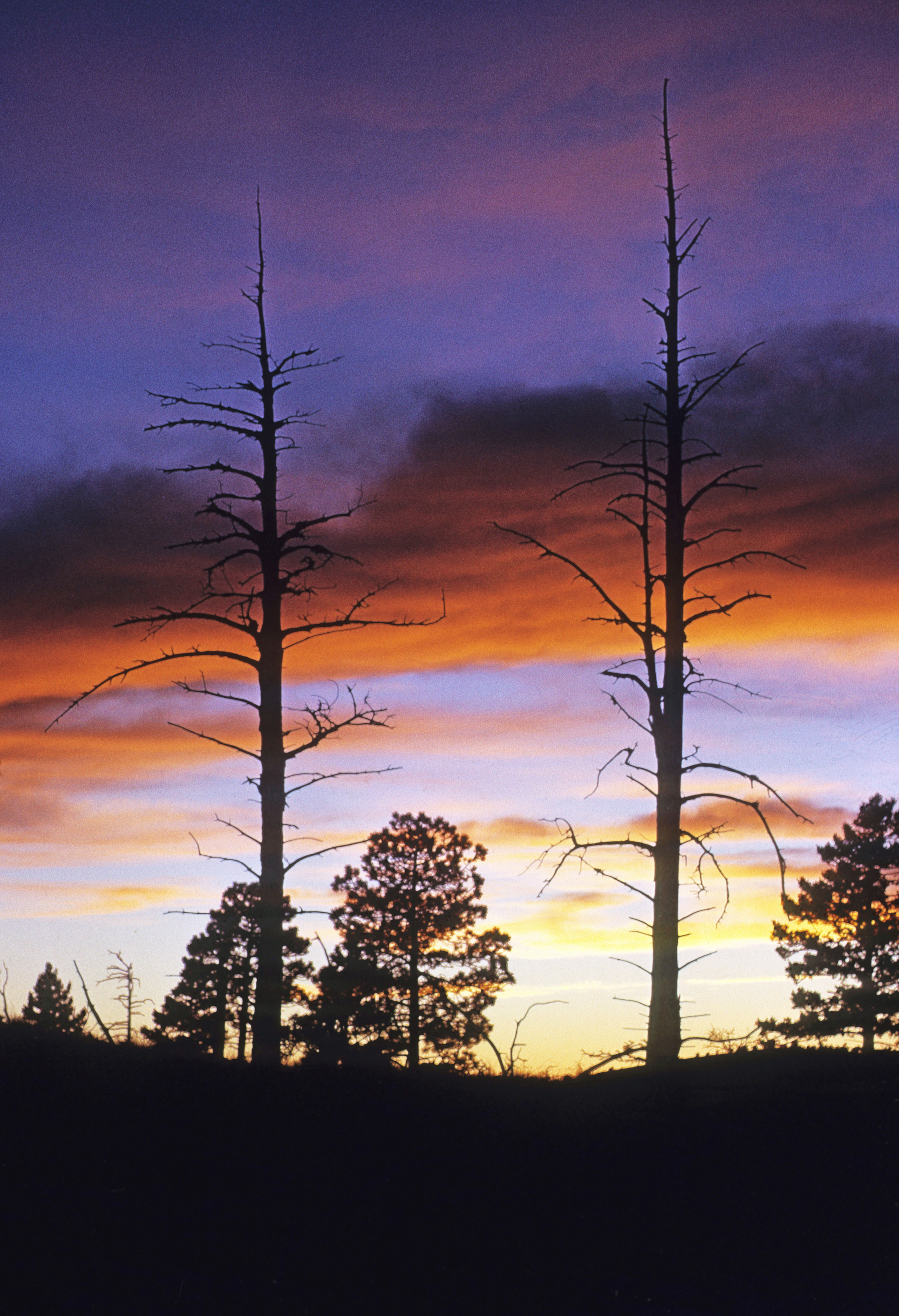 Post-sunset light and silhouettes  -  Guadalupe Mountains National Park, Texas