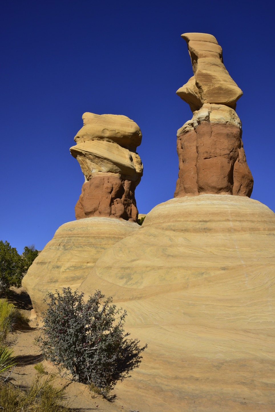 Sandstone formations  -  Devils Garden, Hole-in-the-Rock Road, Grand Staircase-Escalante National Monument, Utah